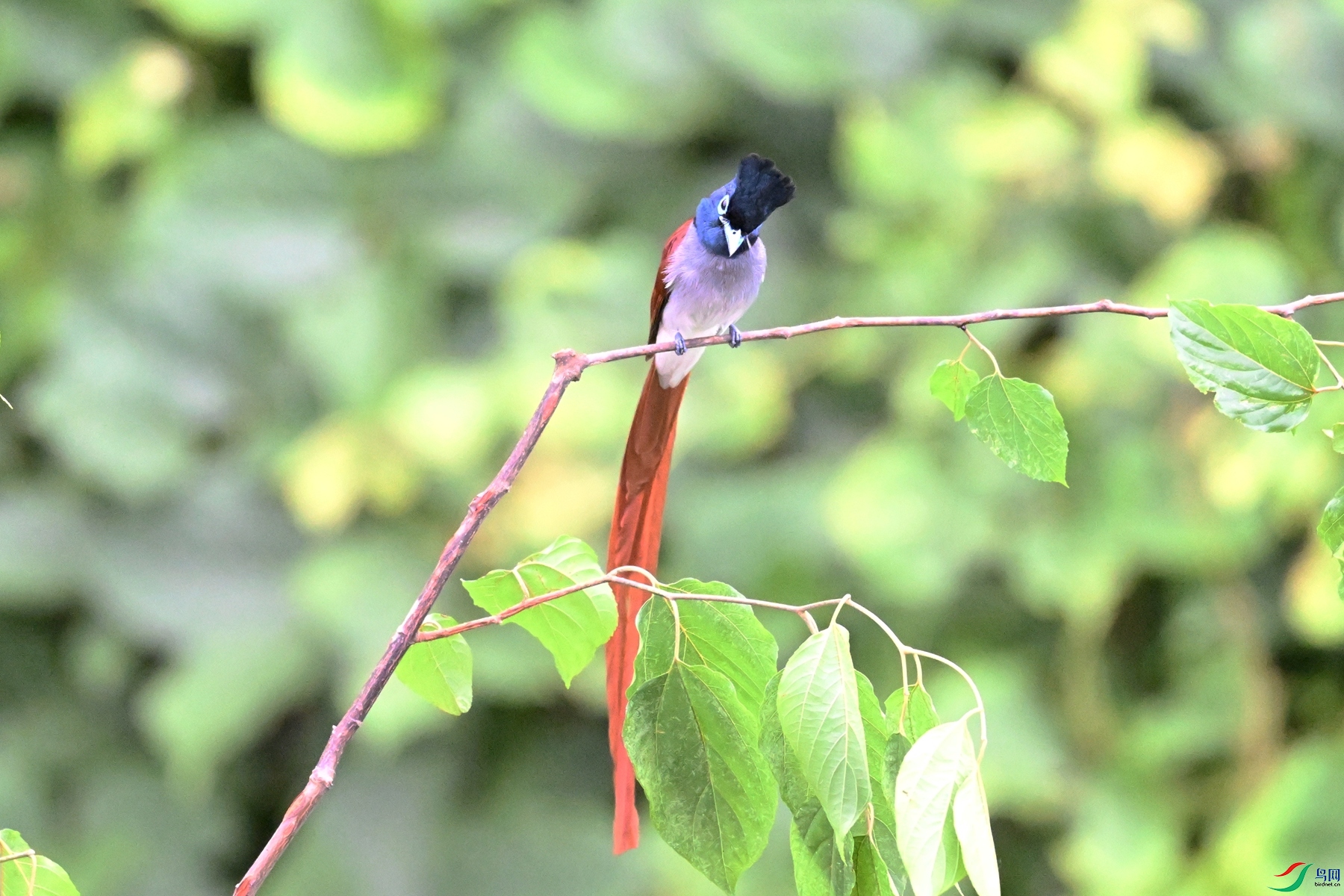 DSC_6741.JPG