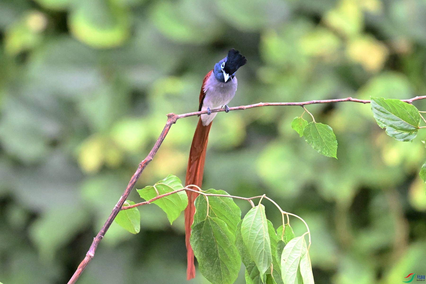 DSC_6743.JPG