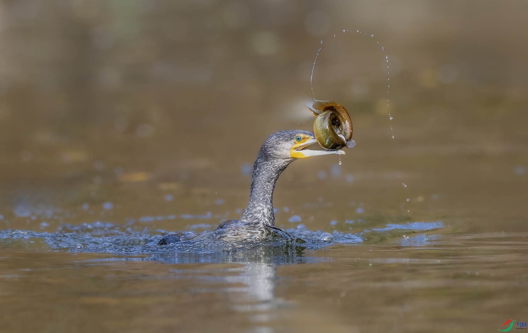 IMG_8749 ����.jpg