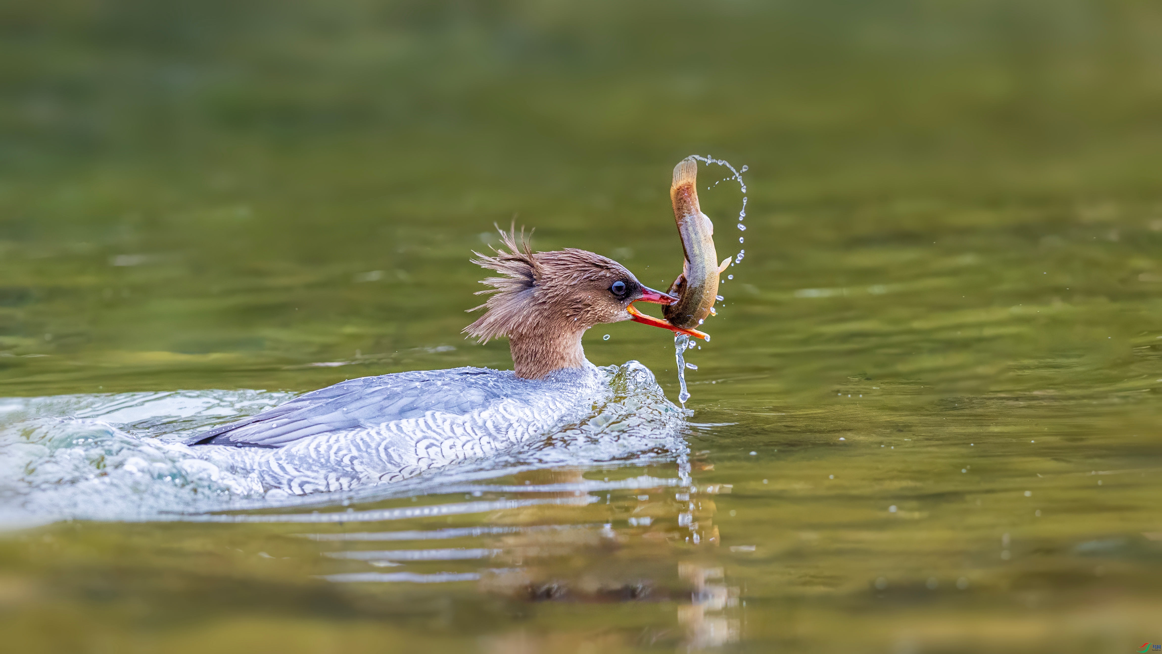 1O9A6556 ����_����.jpg