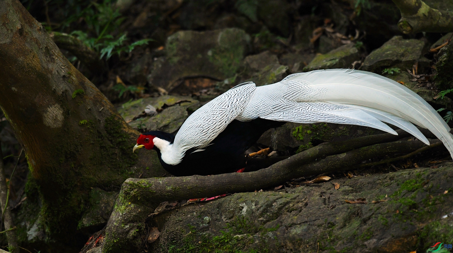 DSC_5735.jpg