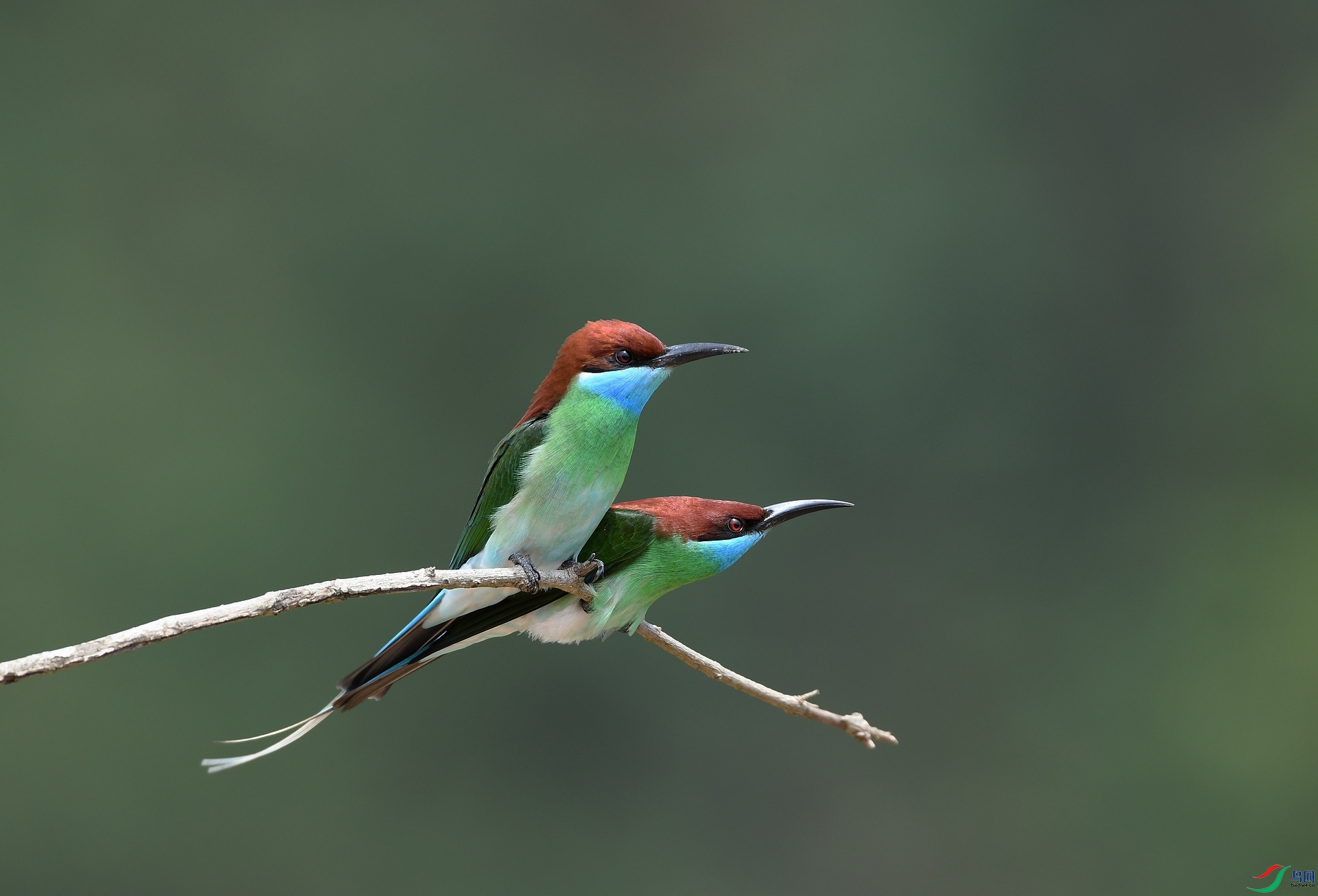 DSC_9947.jpg