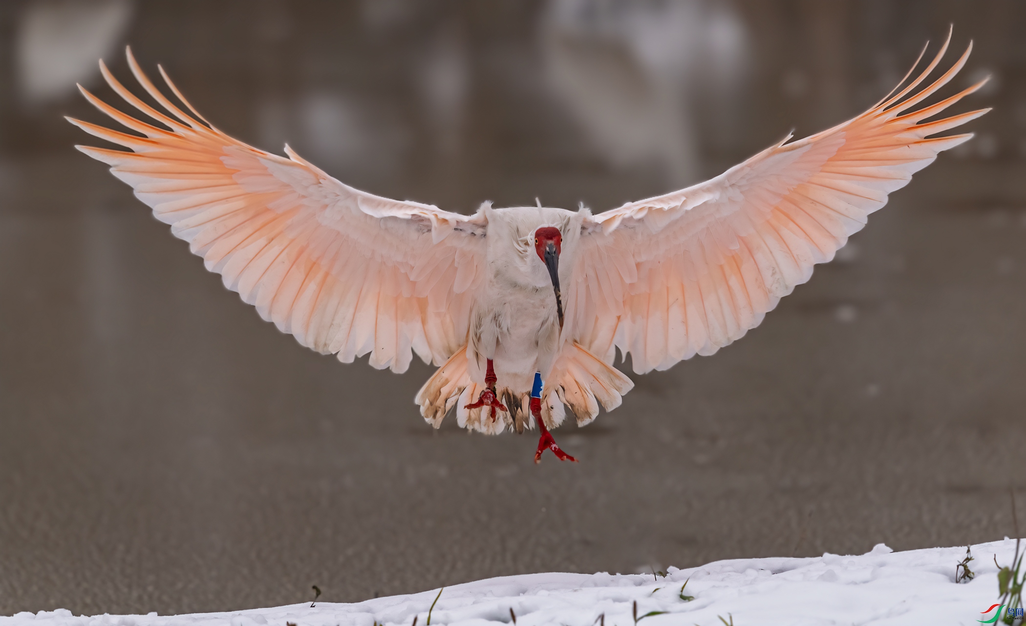 DSC_1566-11.jpg