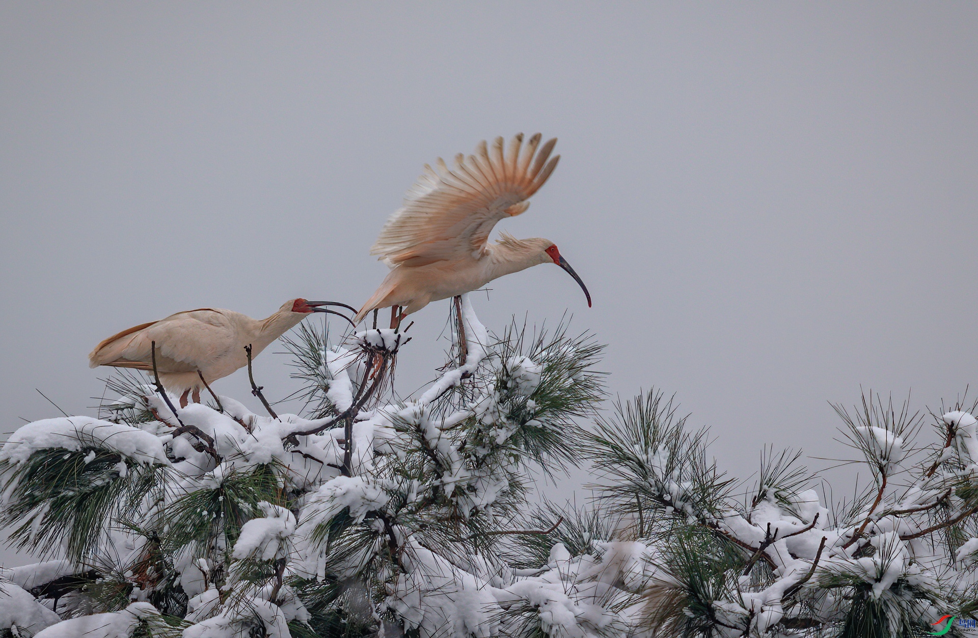 DSC_8357-1.jpg