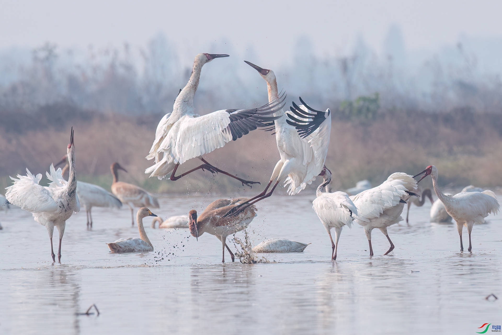 B86I3753 _����.jpg