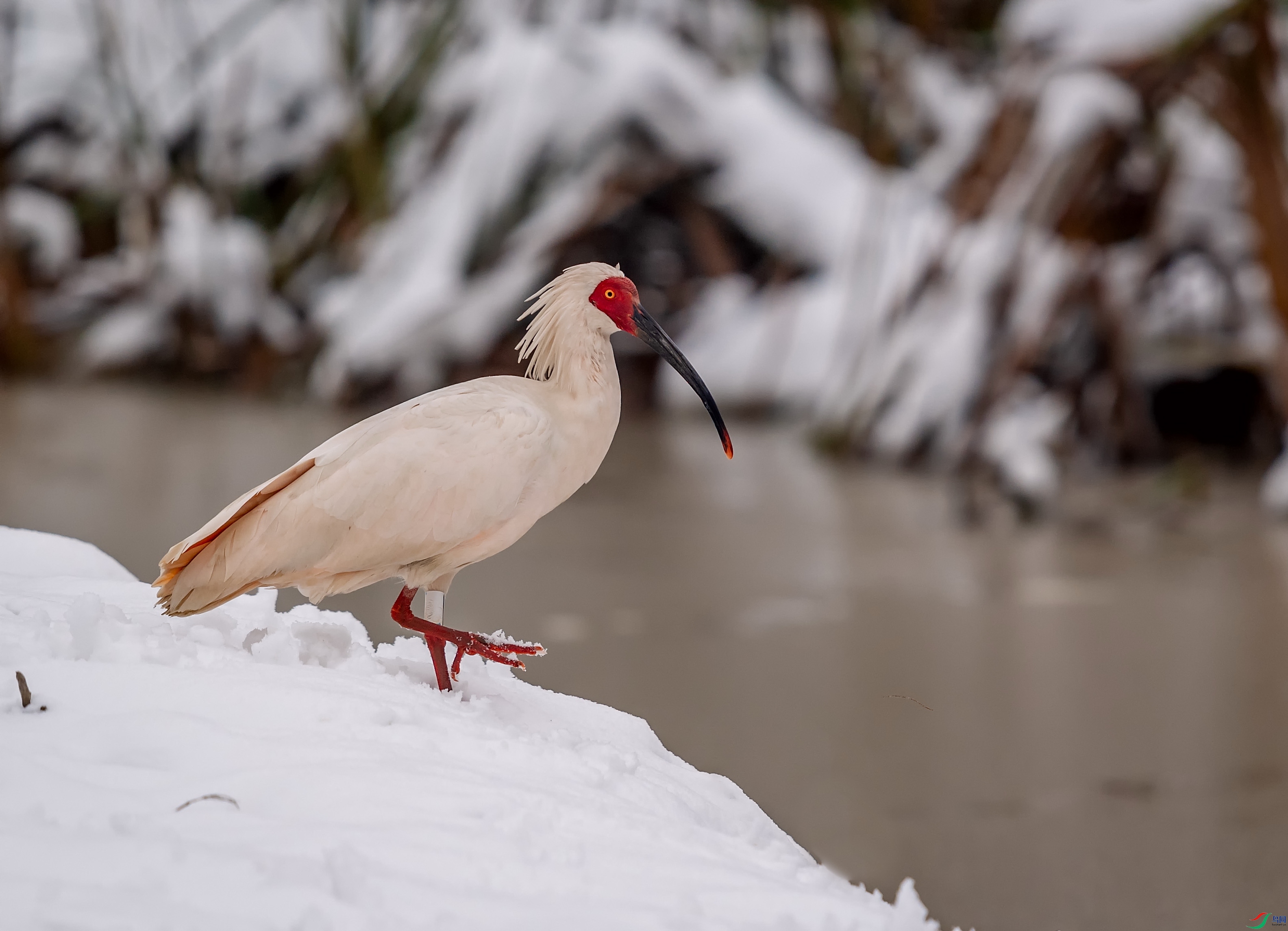 DSC_8830-1v.jpg