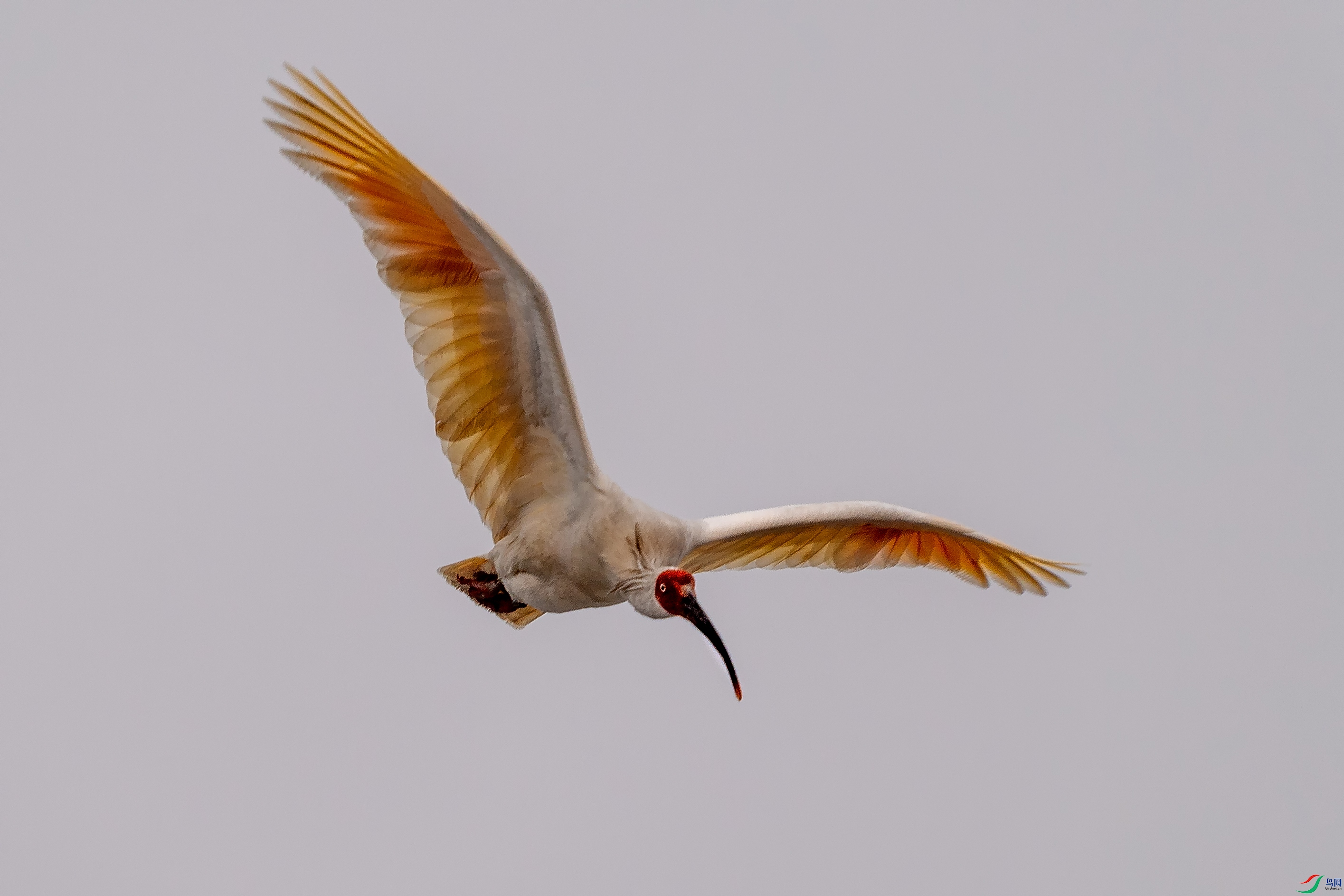 DSC_8428.jpg