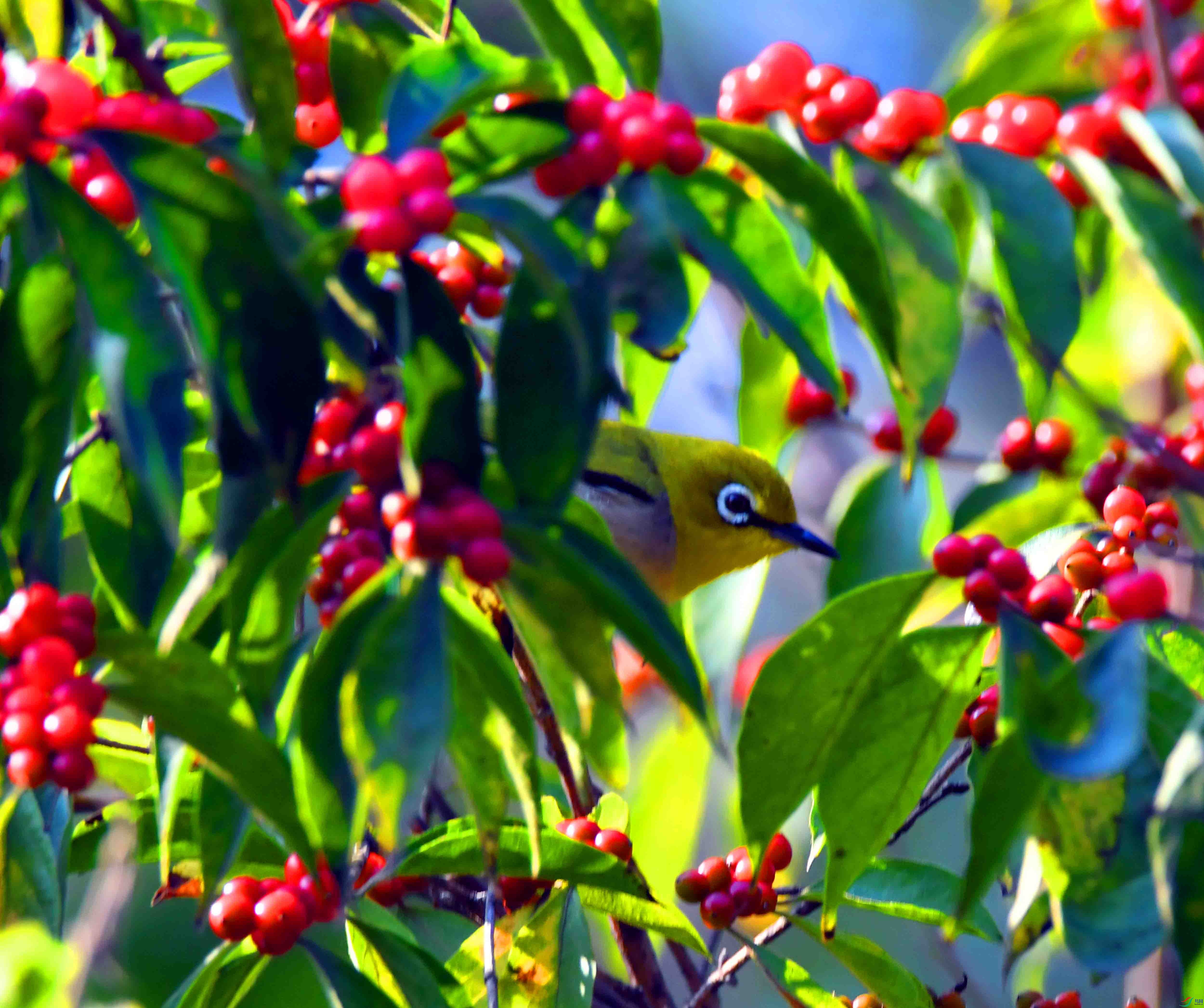 DSC_1618.JPG