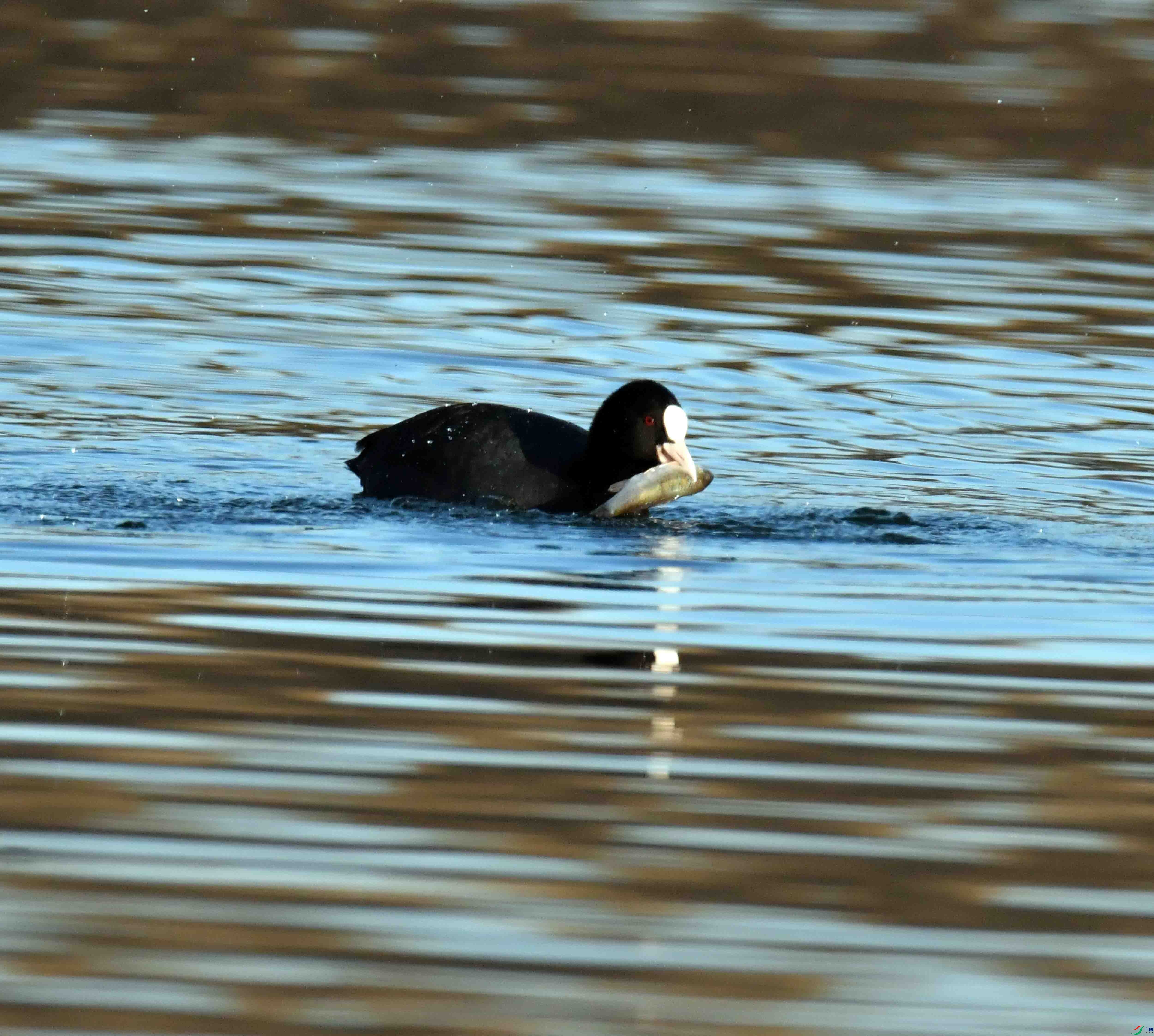 DSC_5483.JPG