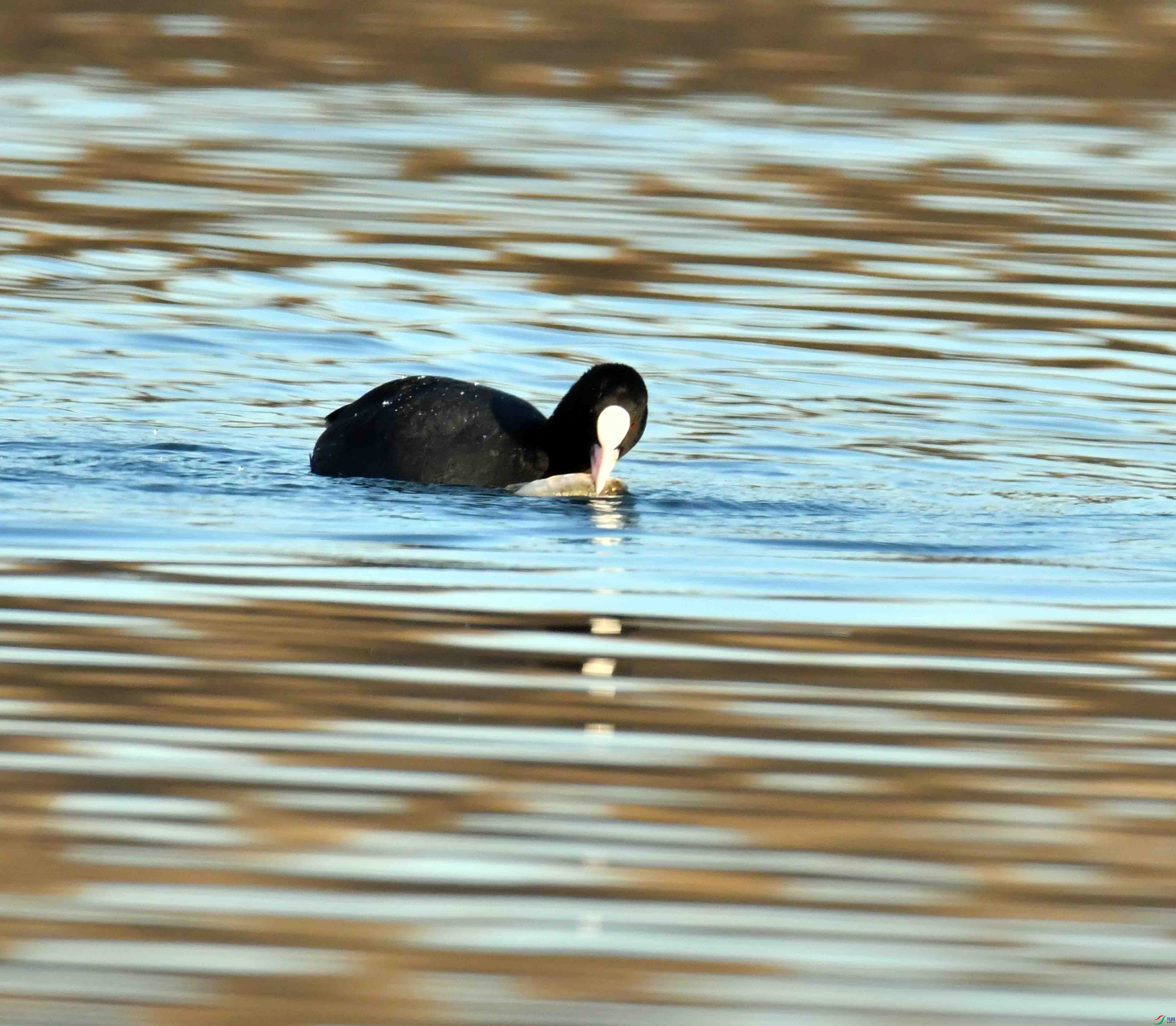 DSC_5482.JPG