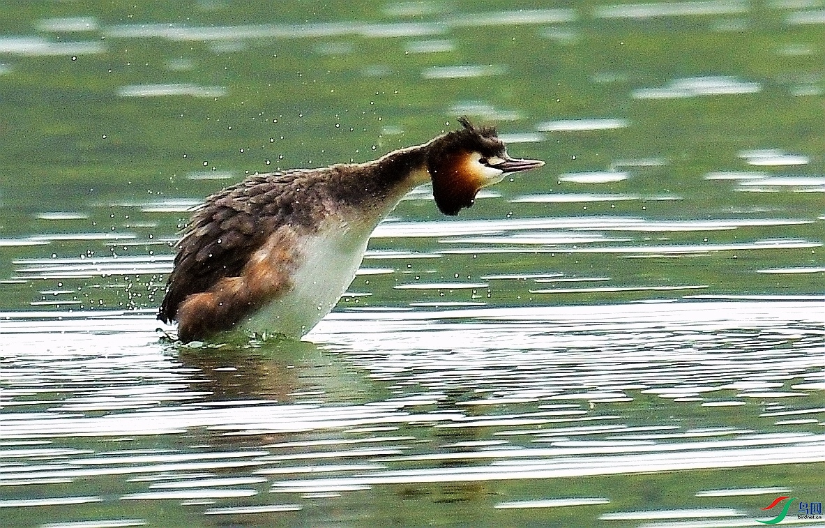 DSC_3485_����.jpg