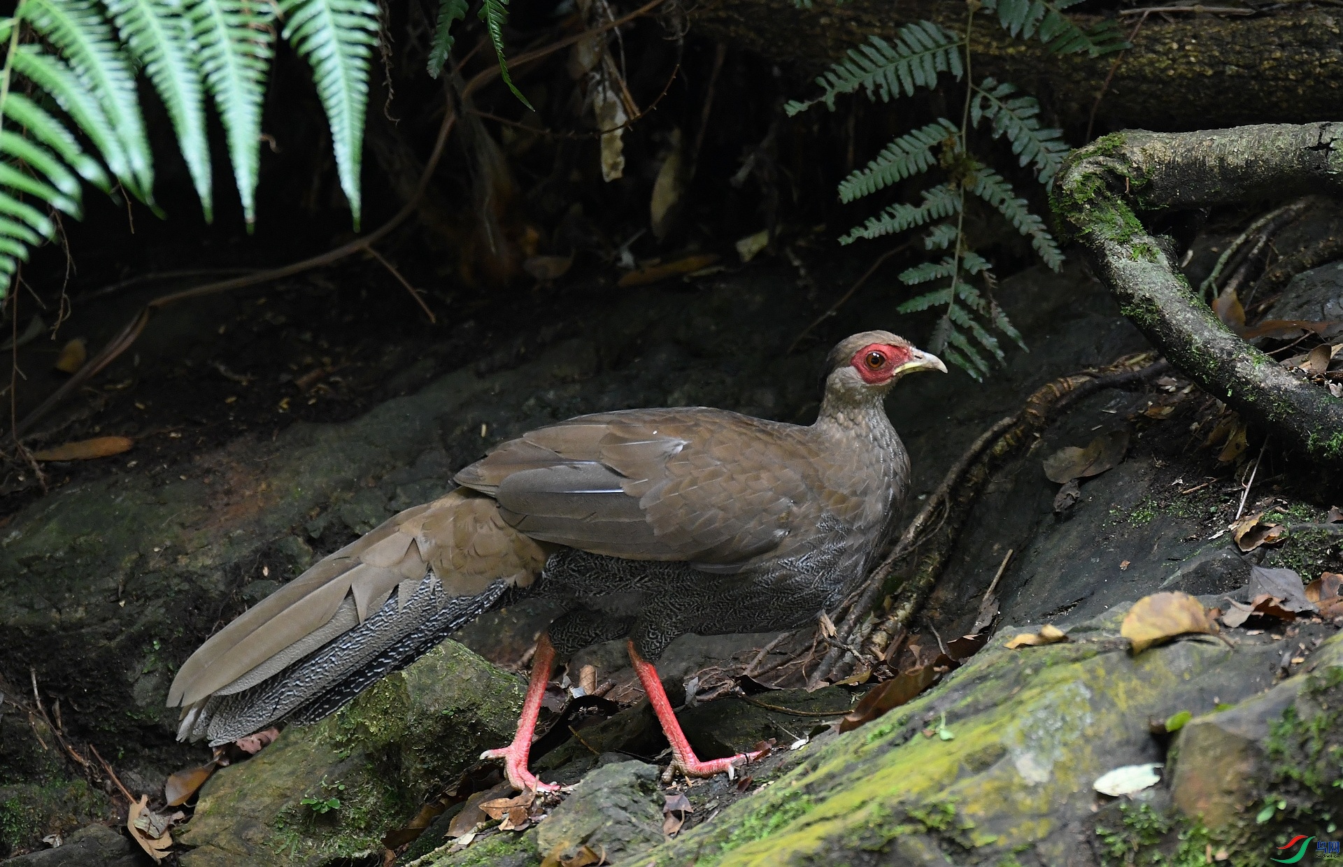 DSC_7564.jpg