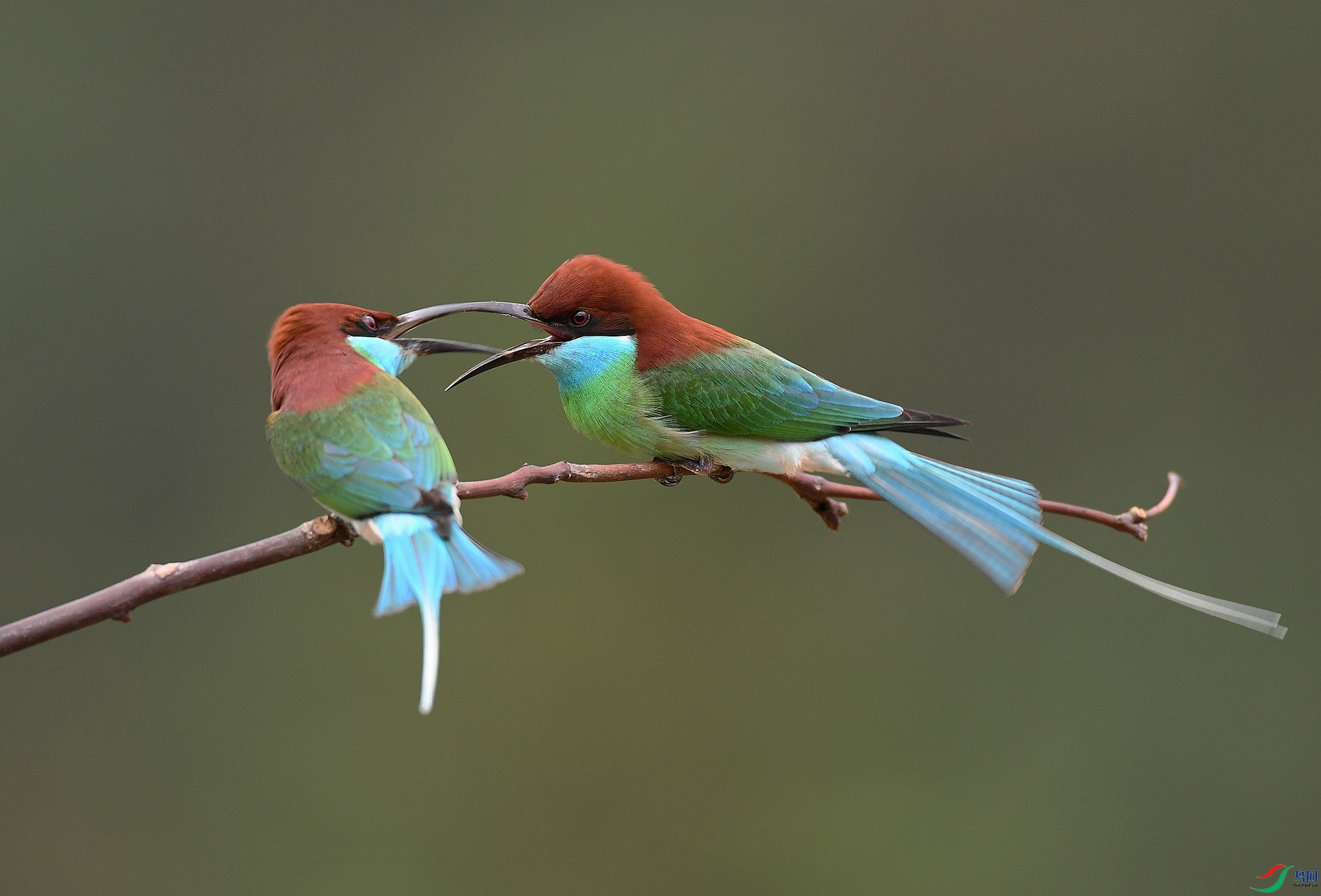 DSC_7572.jpg