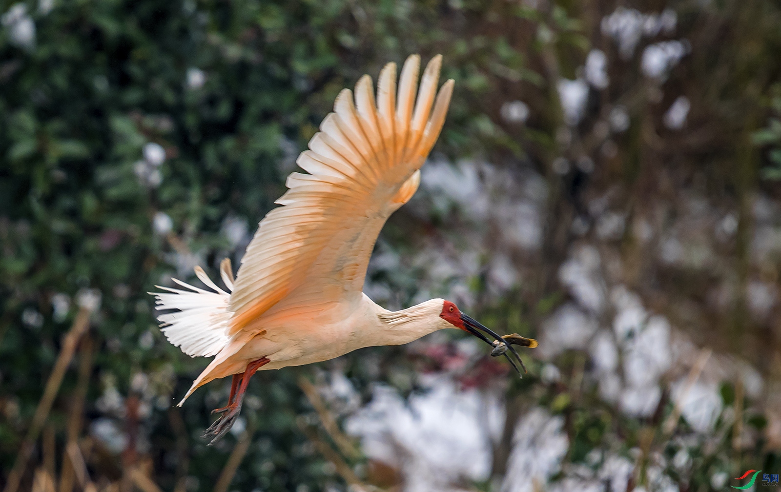 DSC_0853.jpg