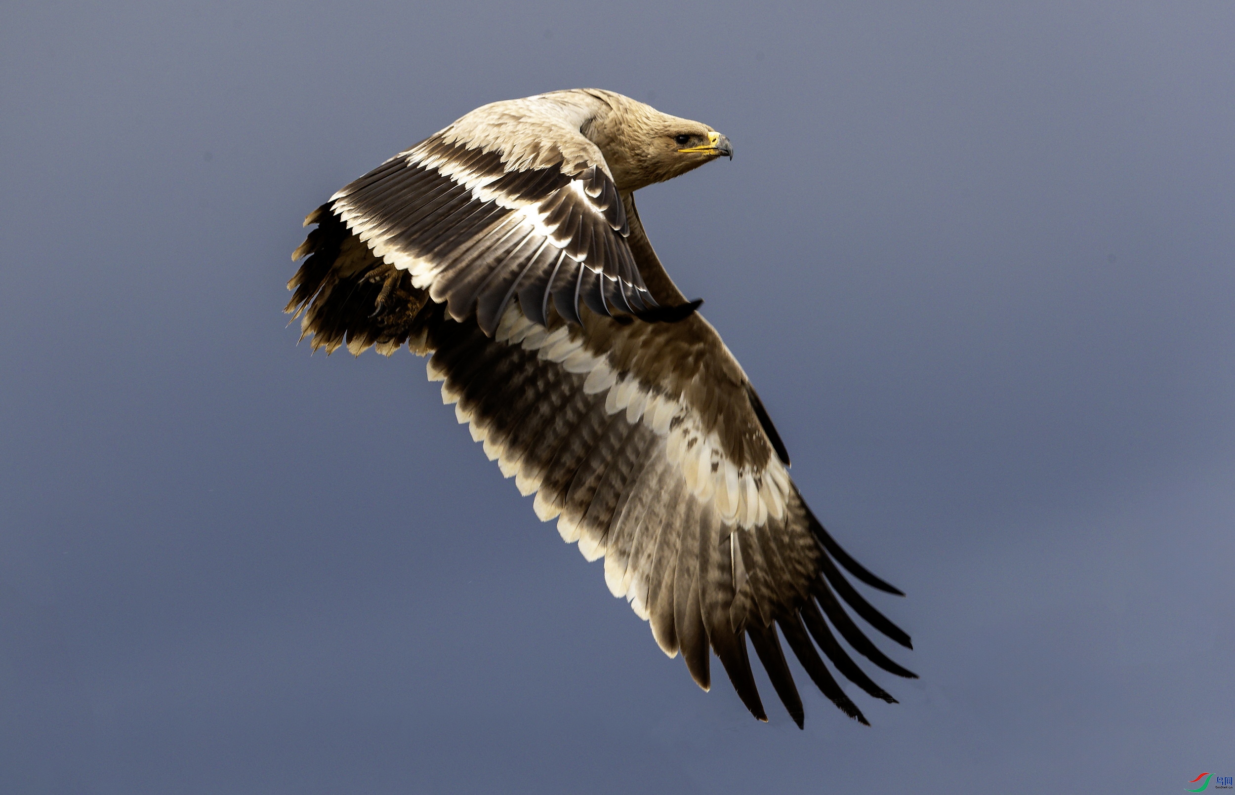 ��ԭ�� (64)-01.jpg