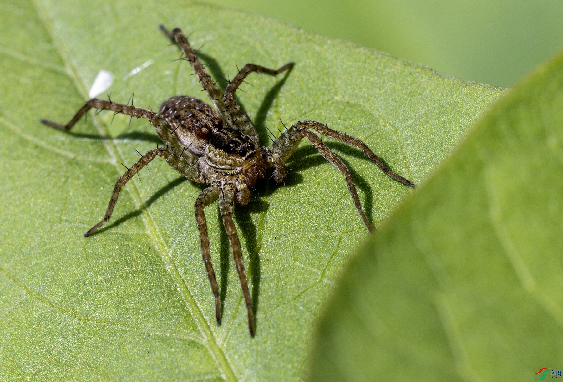 ���� (8)-01.jpg