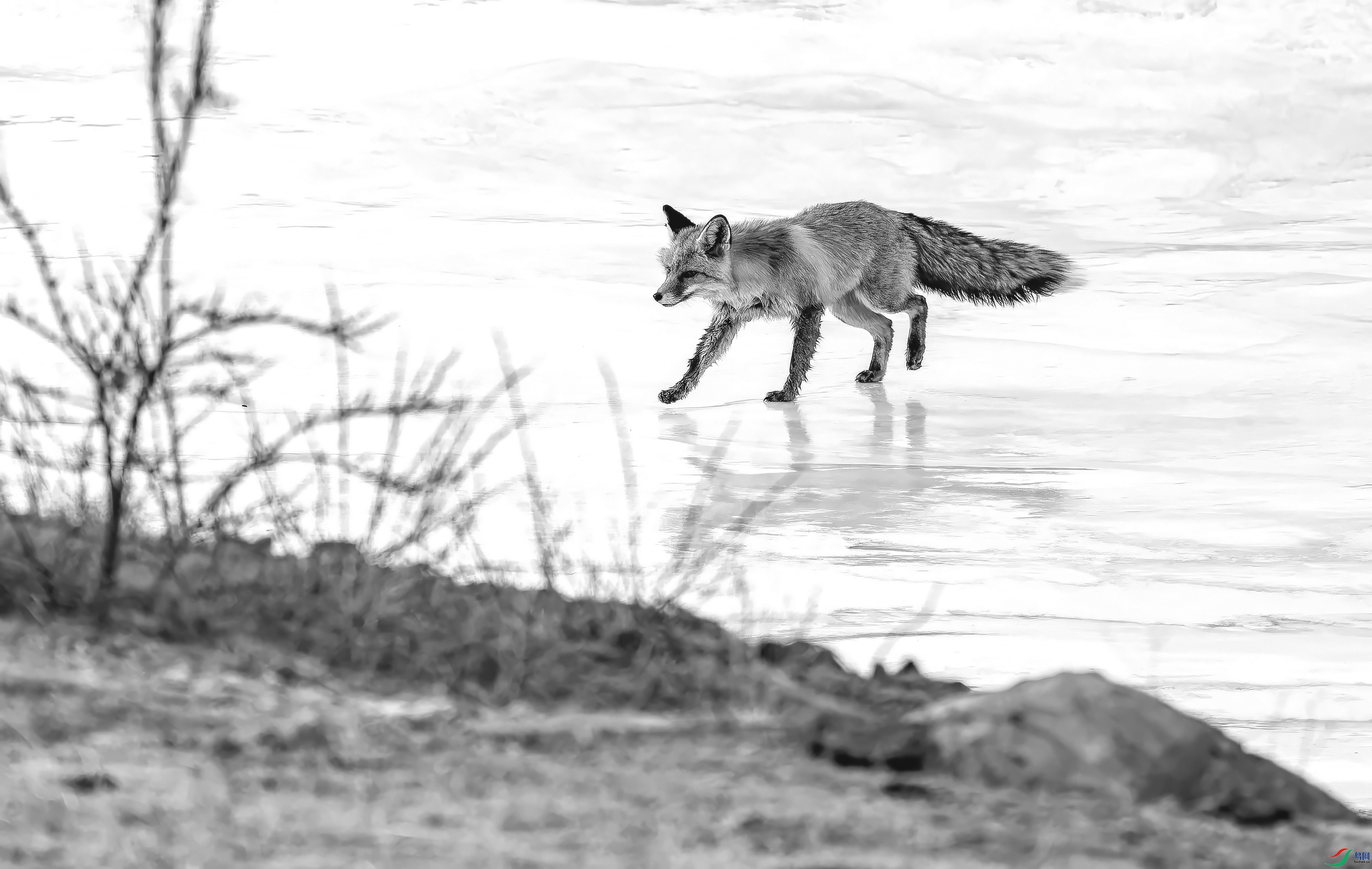 ��� (14)-01.jpg