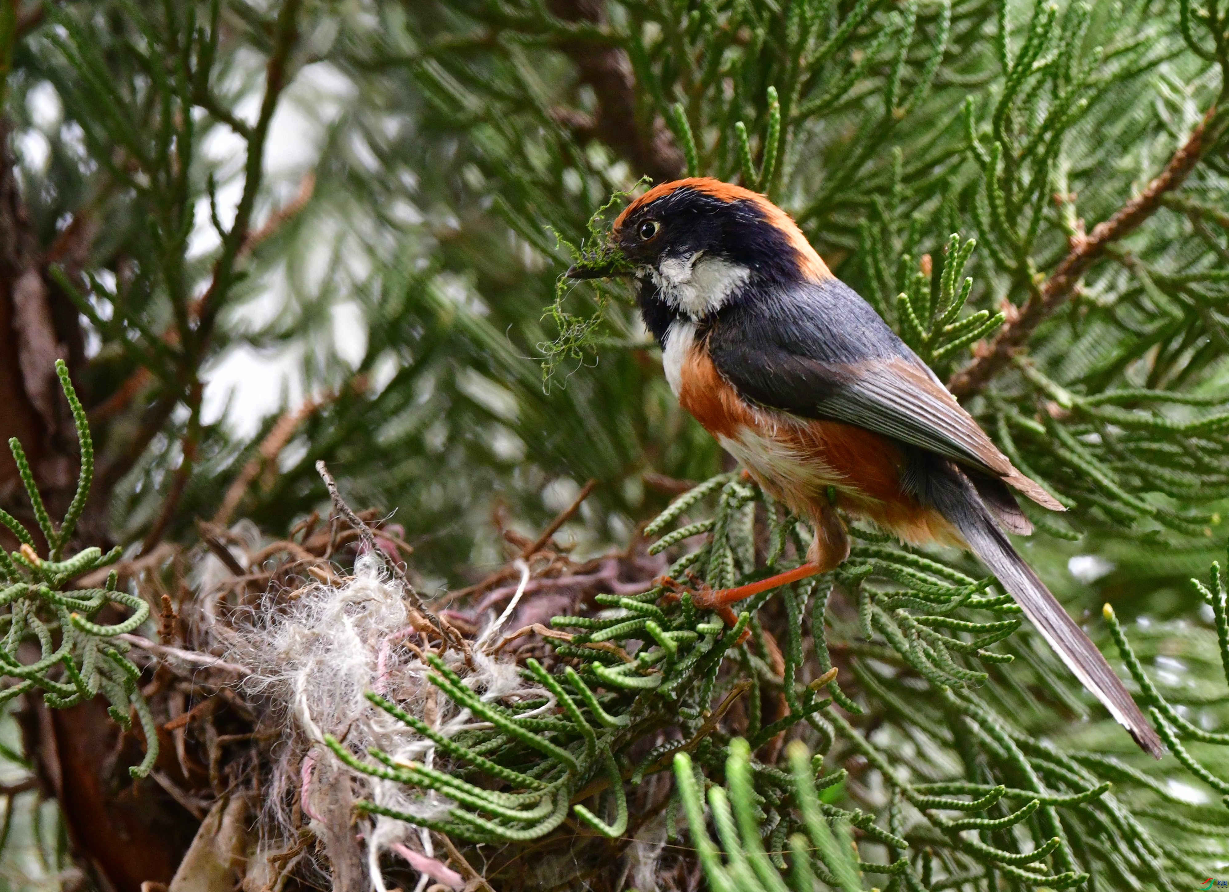 DSC_6610_��ͼ��_����.jpg