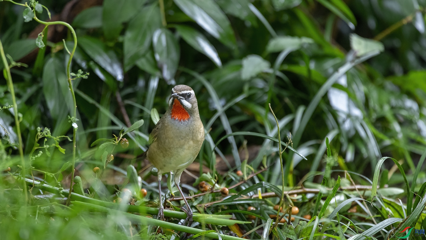 708A4212 ���� 2.jpg