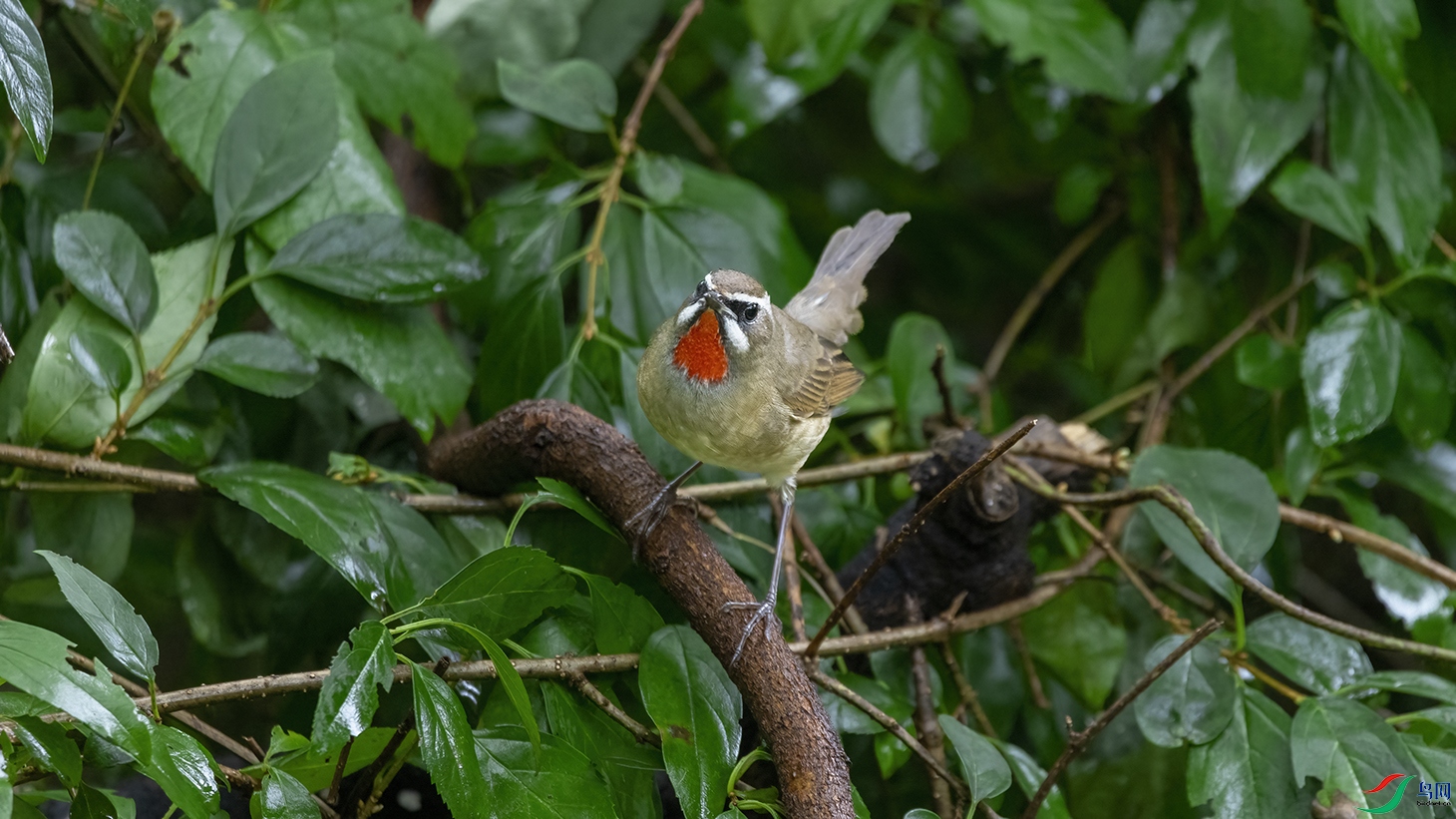 708A4153 ���� 2.jpg