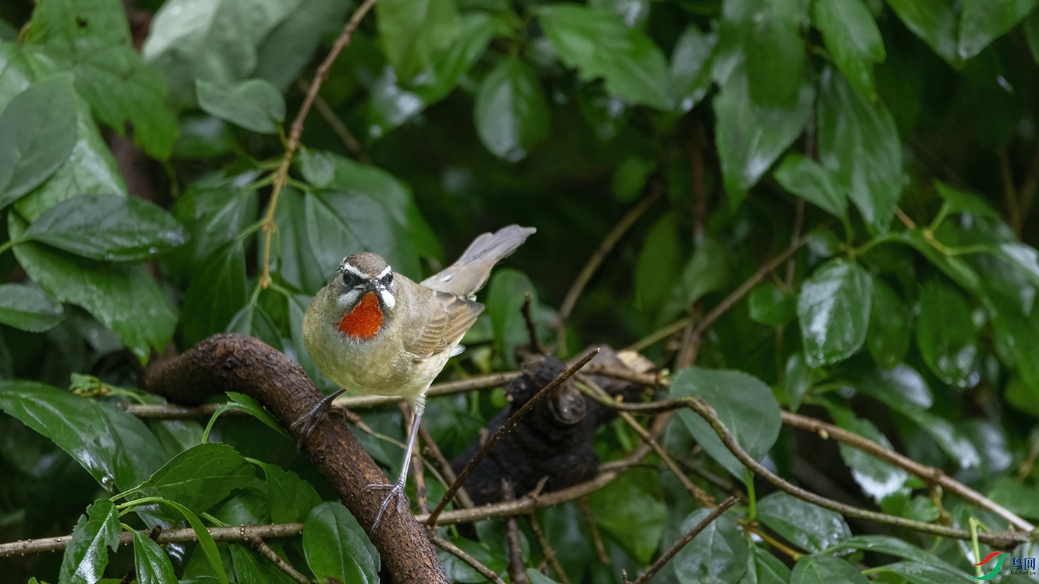 708A4130 ���� 2.jpg