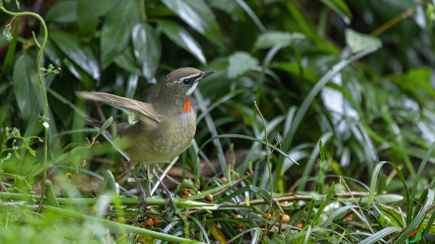 708A4205 ���� 2.jpg