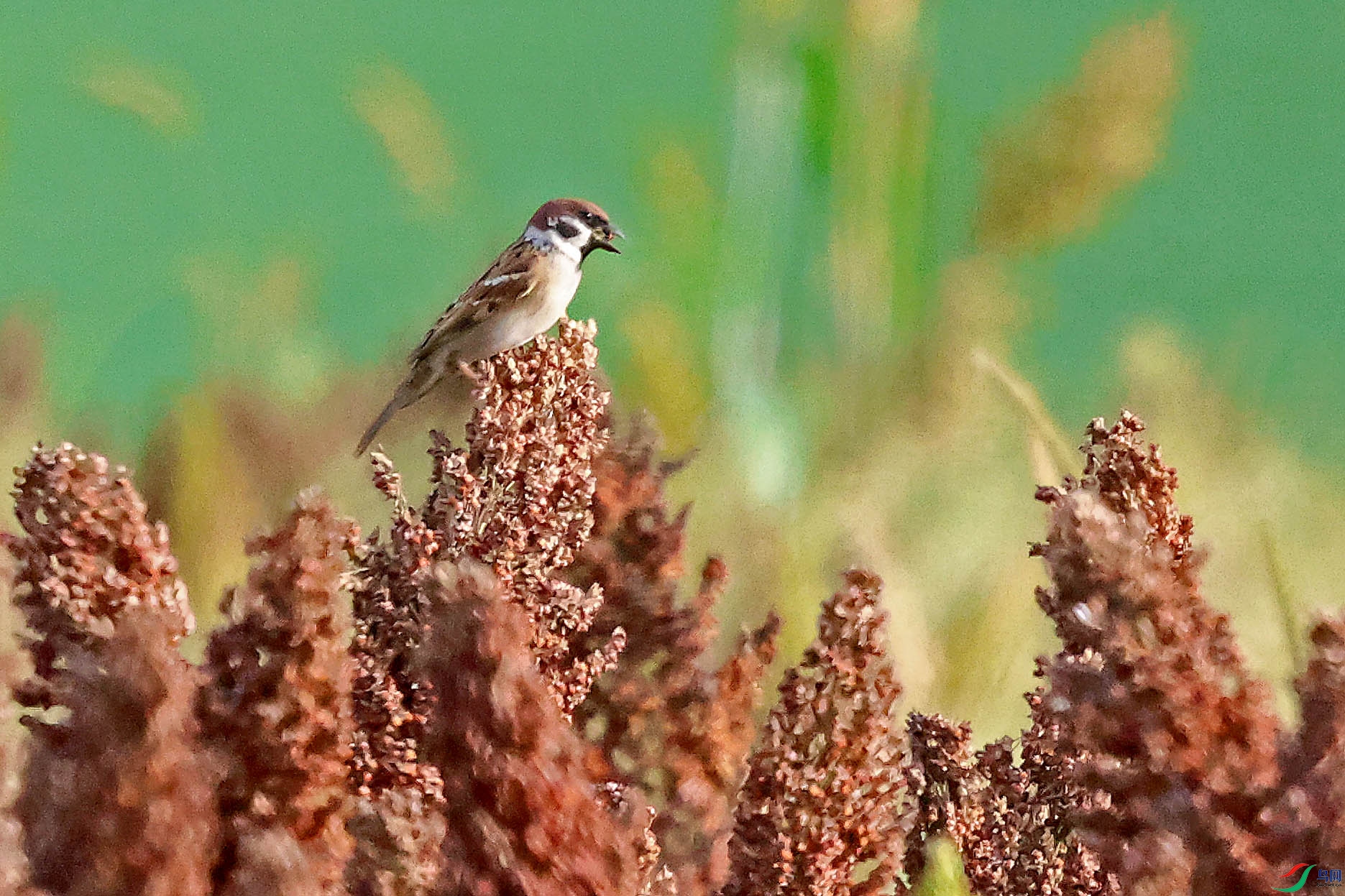 2G9A8929.JPG