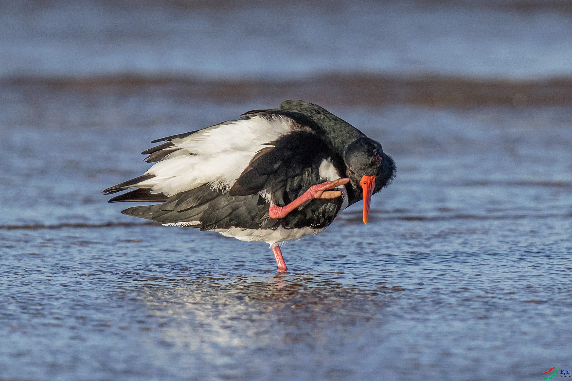 _90I2776 ����.jpg