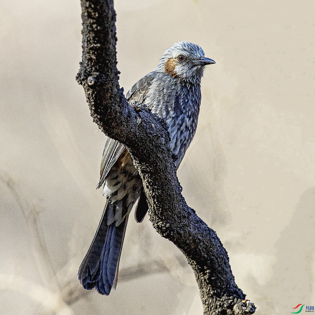 _90I2405 ���� 4.jpg