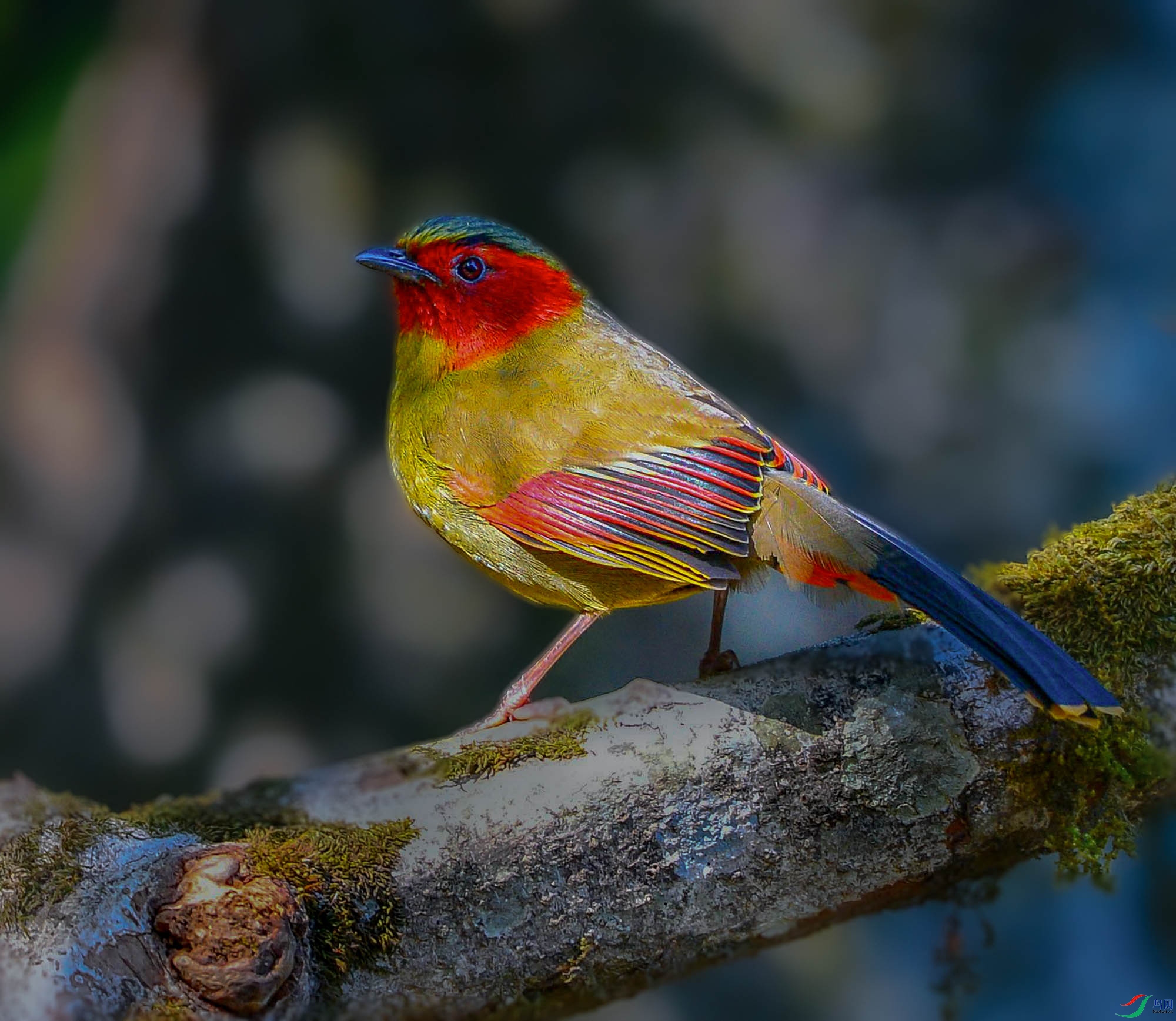 DSC_7076_���ٿ�ͼ����.jpg