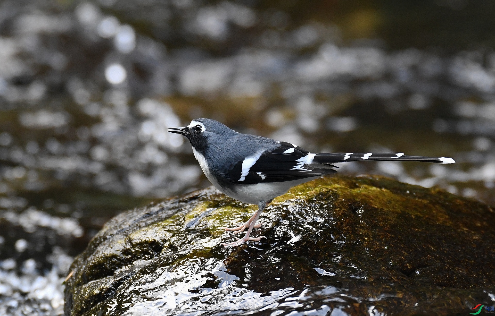 DSC_8314.jpg