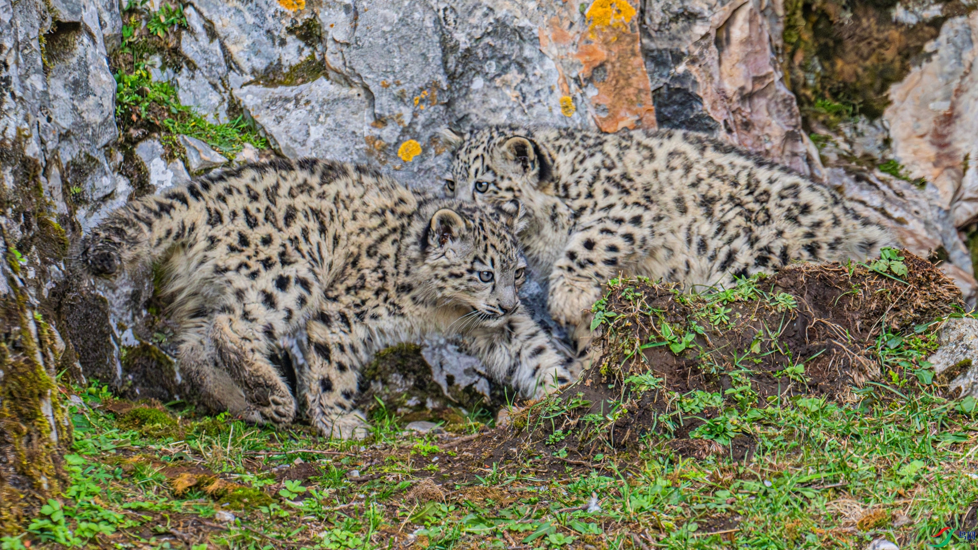 DSC_0295 ����_����.jpg