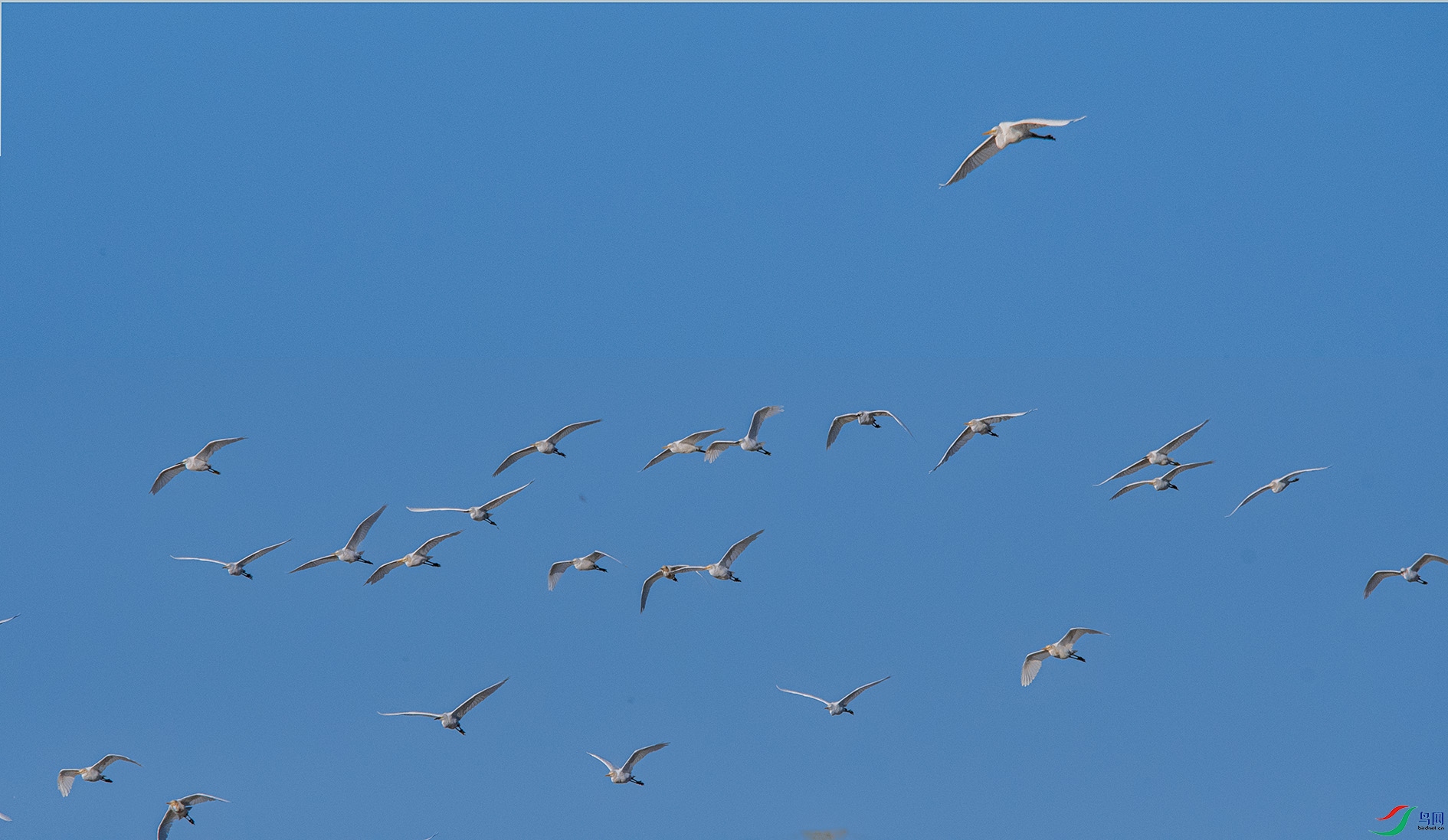 _DSC4825 ����.jpg