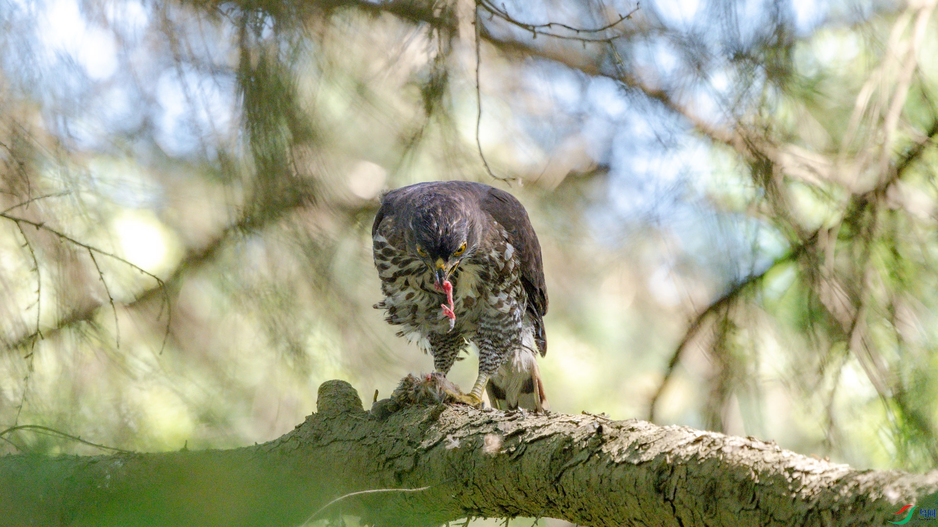 DSC_6188.jpg