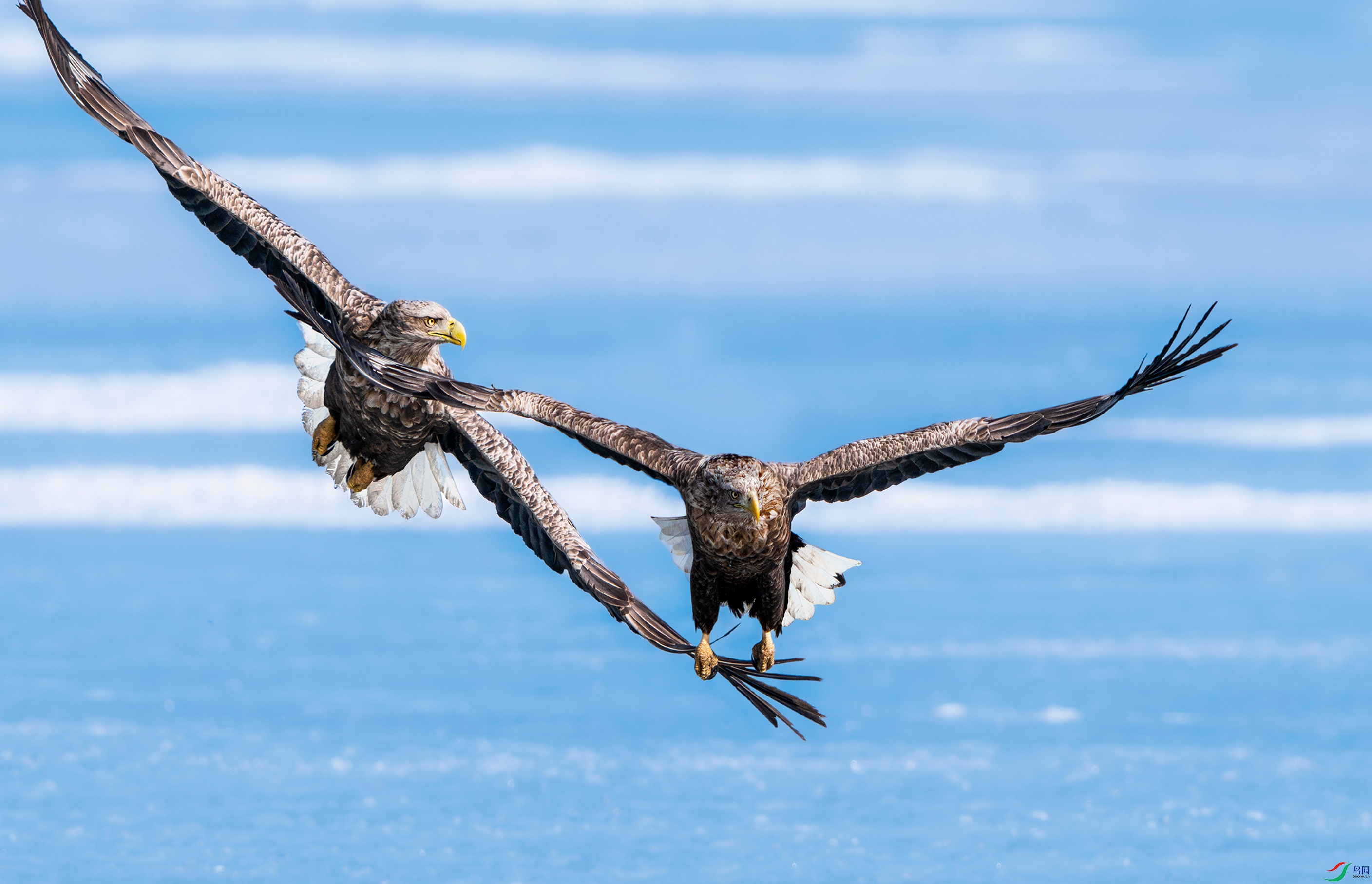 DSC_0112.jpg