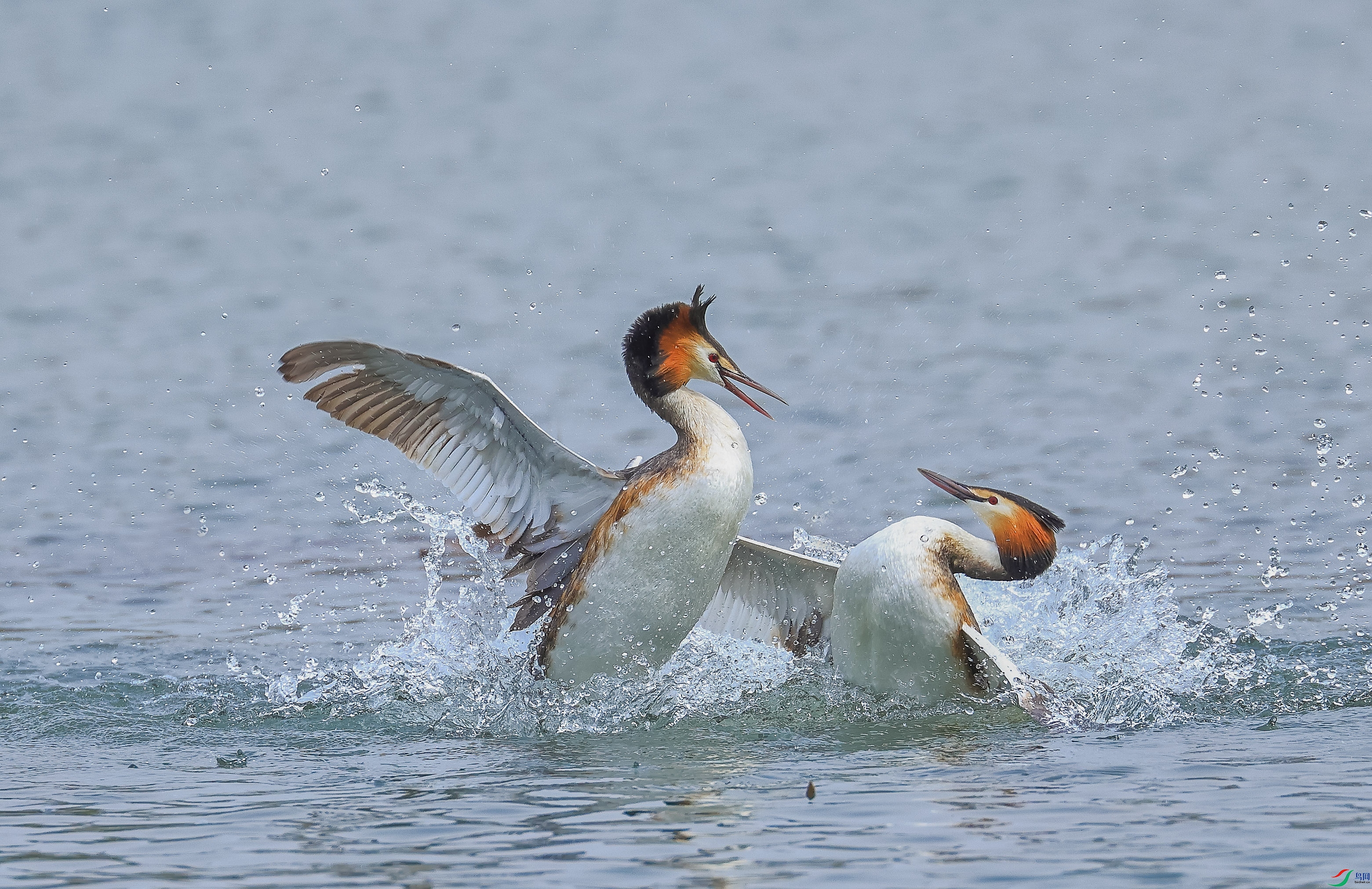 L10A0023 ����.jpg