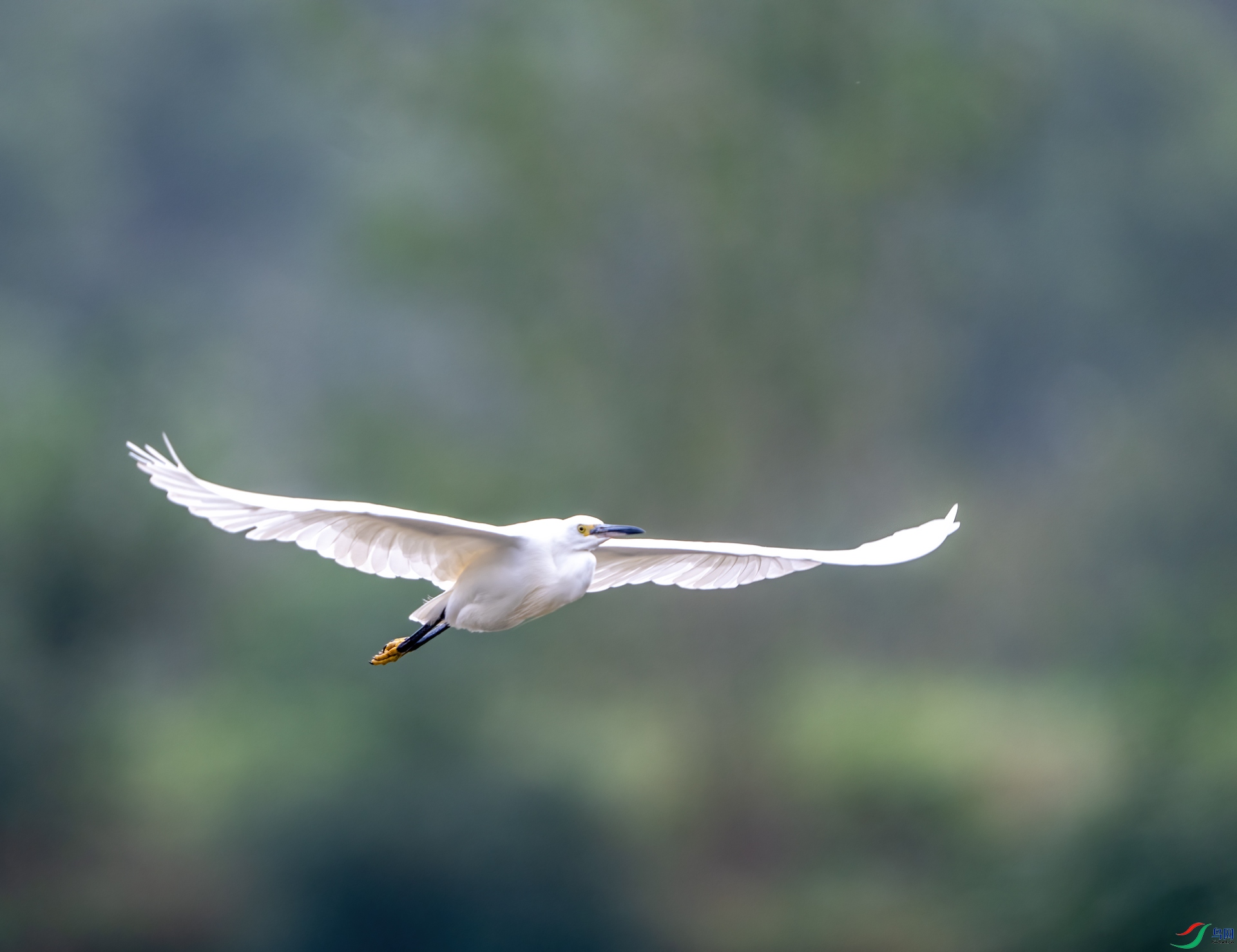 DSC_0013-1.jpg