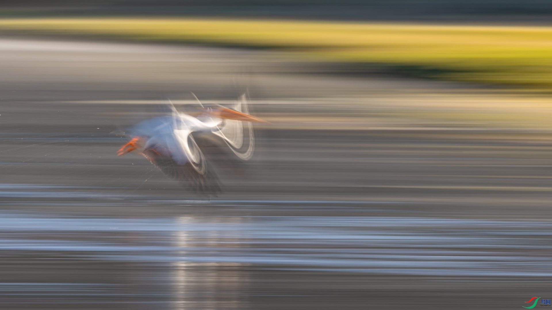498A6913_2.jpg