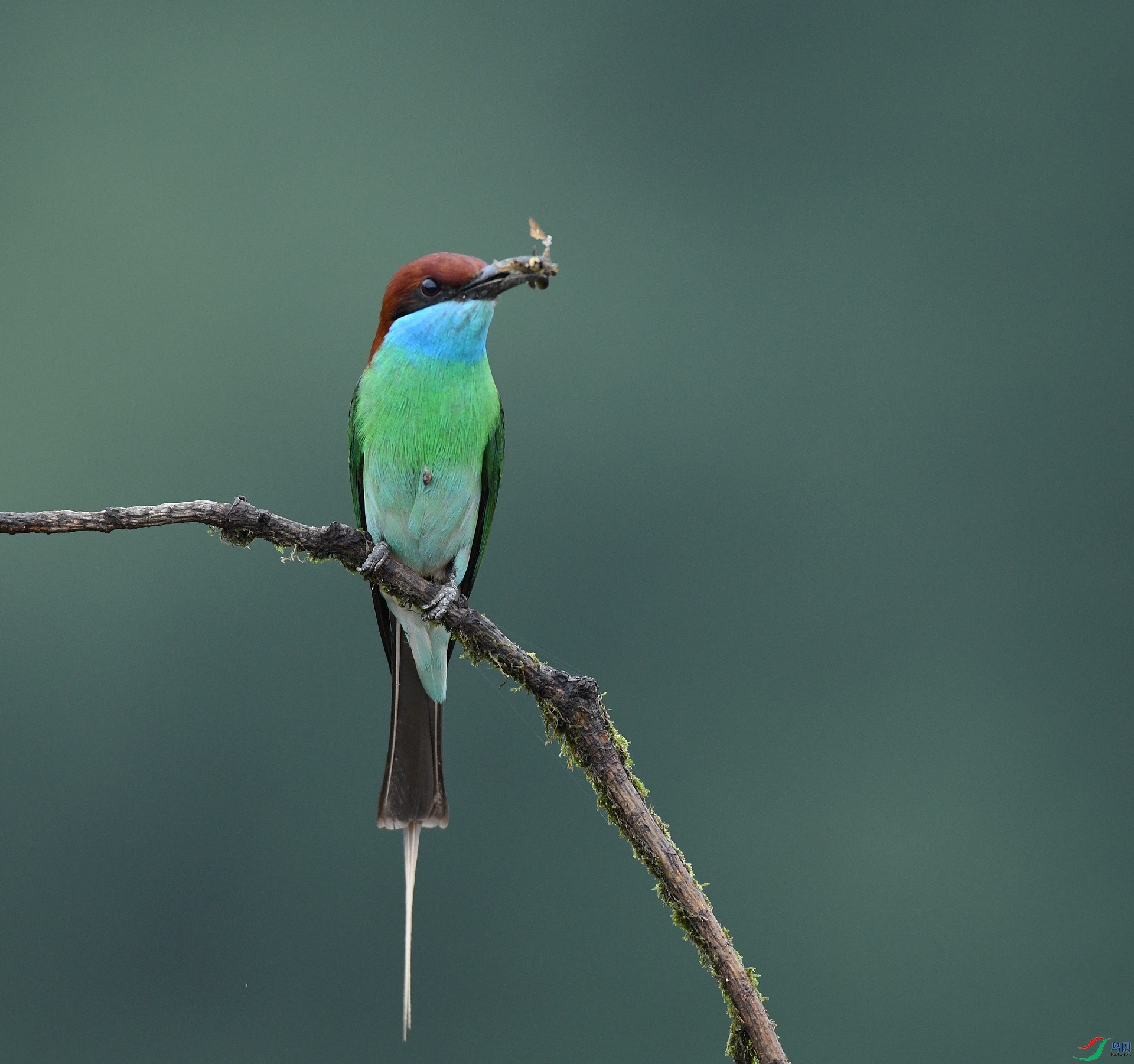 DSC_3892.jpg
