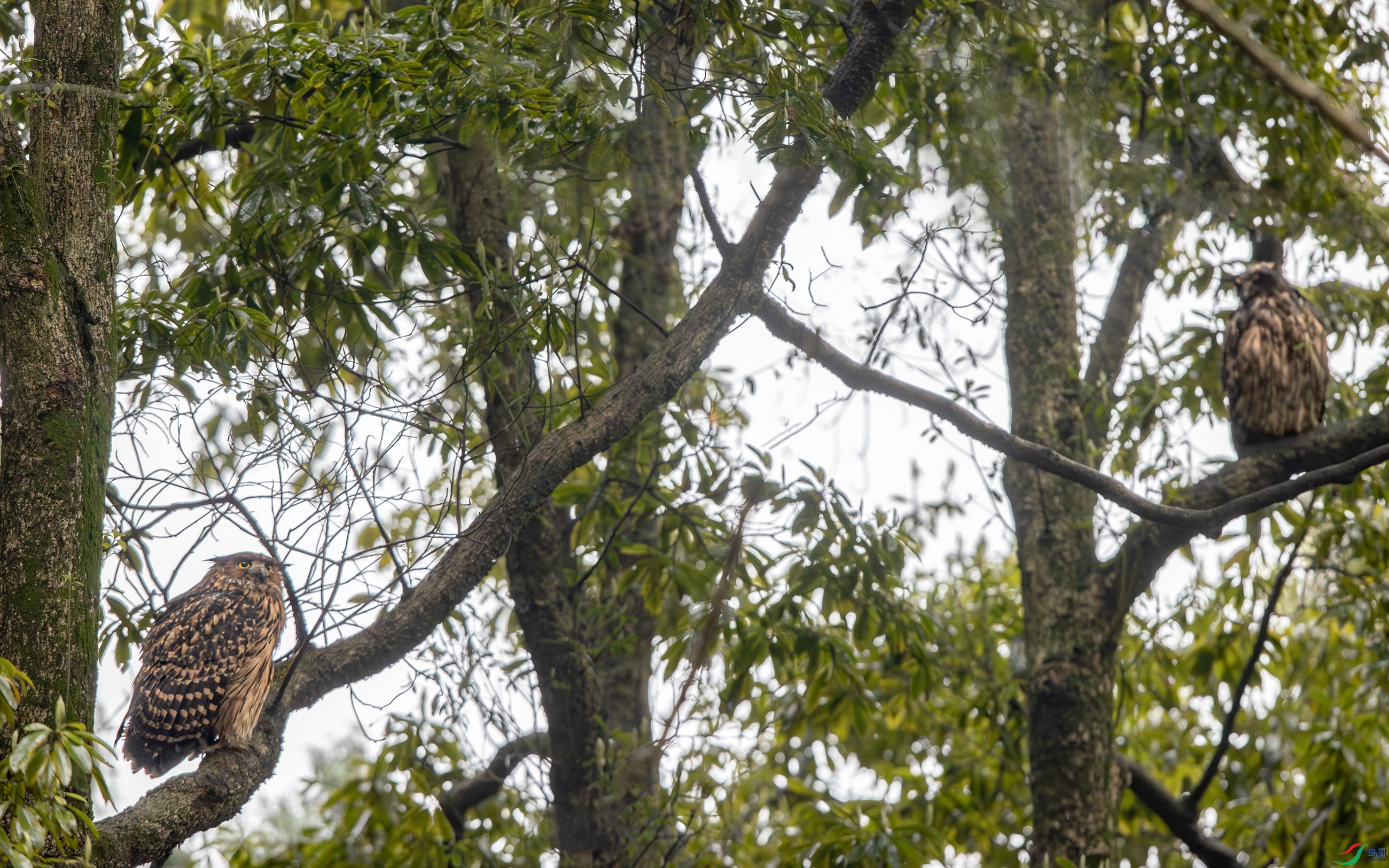 A15I8418-����ǿ-NR ����.jpg