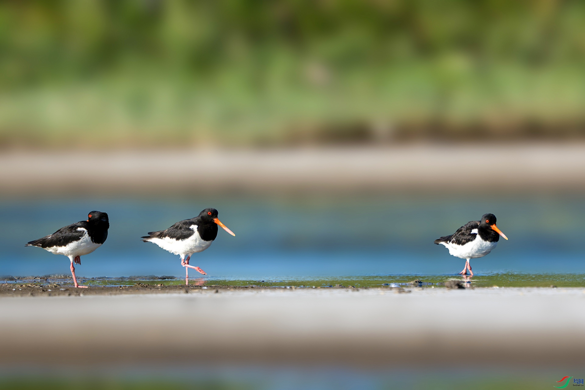 DSC02821-����ǿ-NR ����.jpg