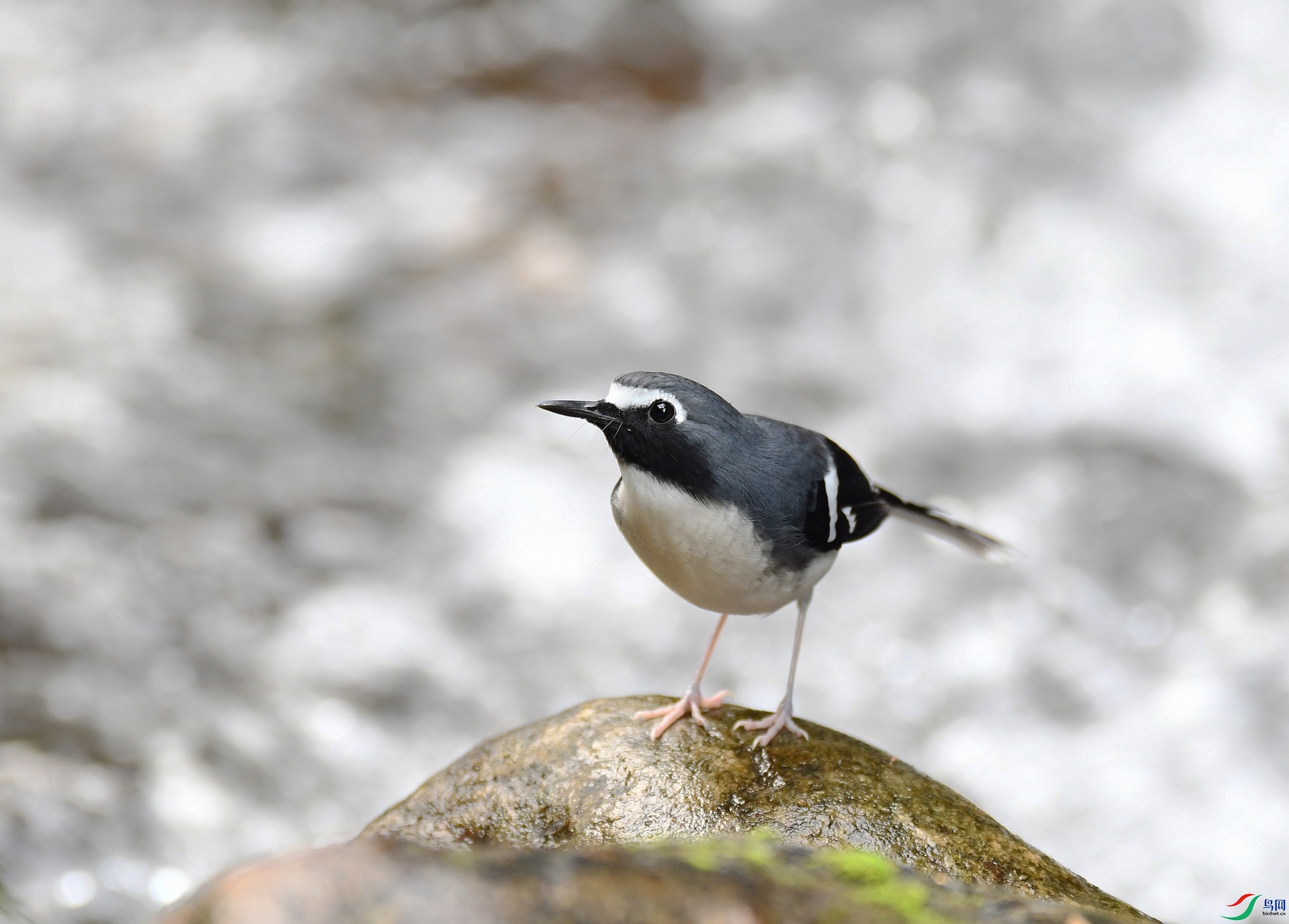 DSC_8956.jpg