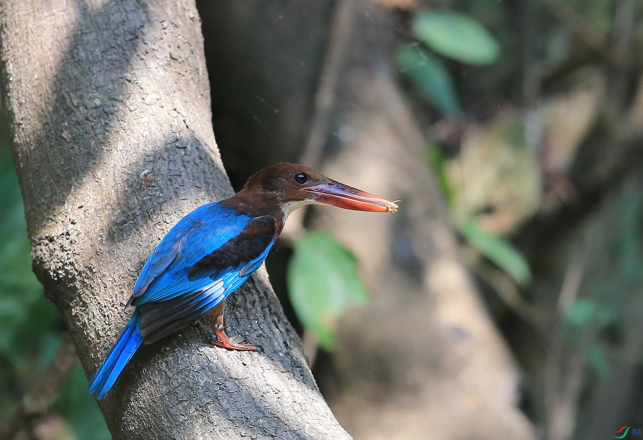 IMGL0412�� ��.JPG