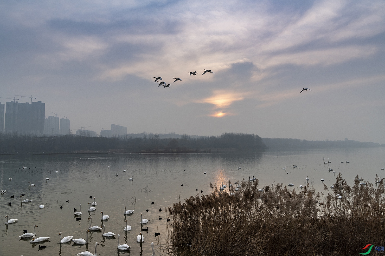DSC_4476.jpg