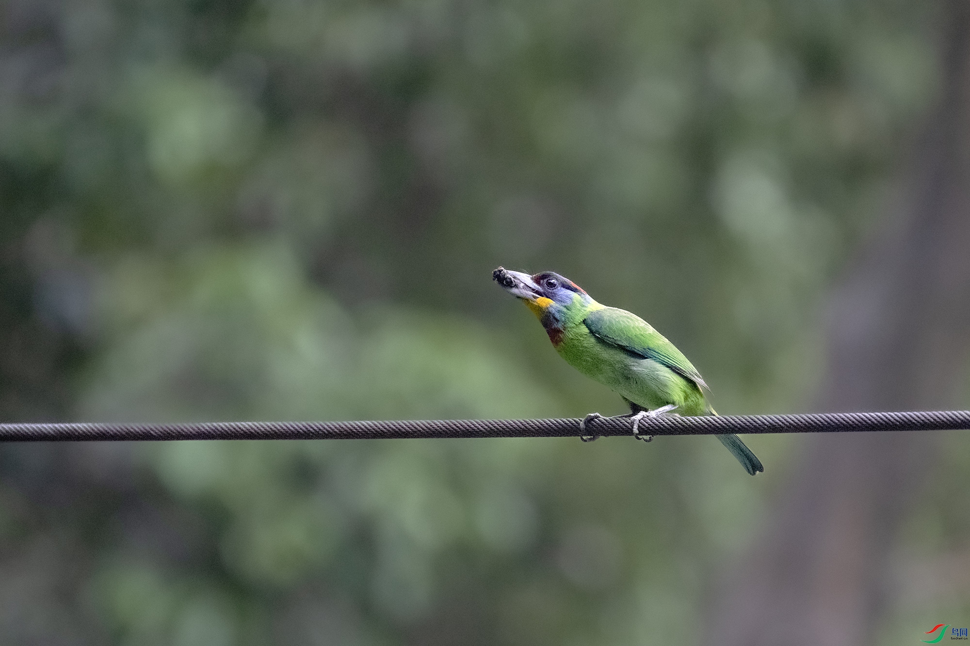 DSC_1834.jpg