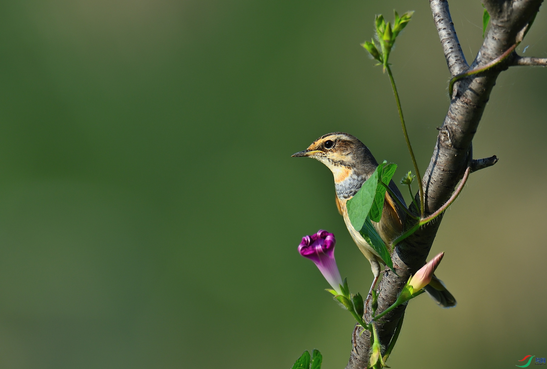 DSC_4706.JPG