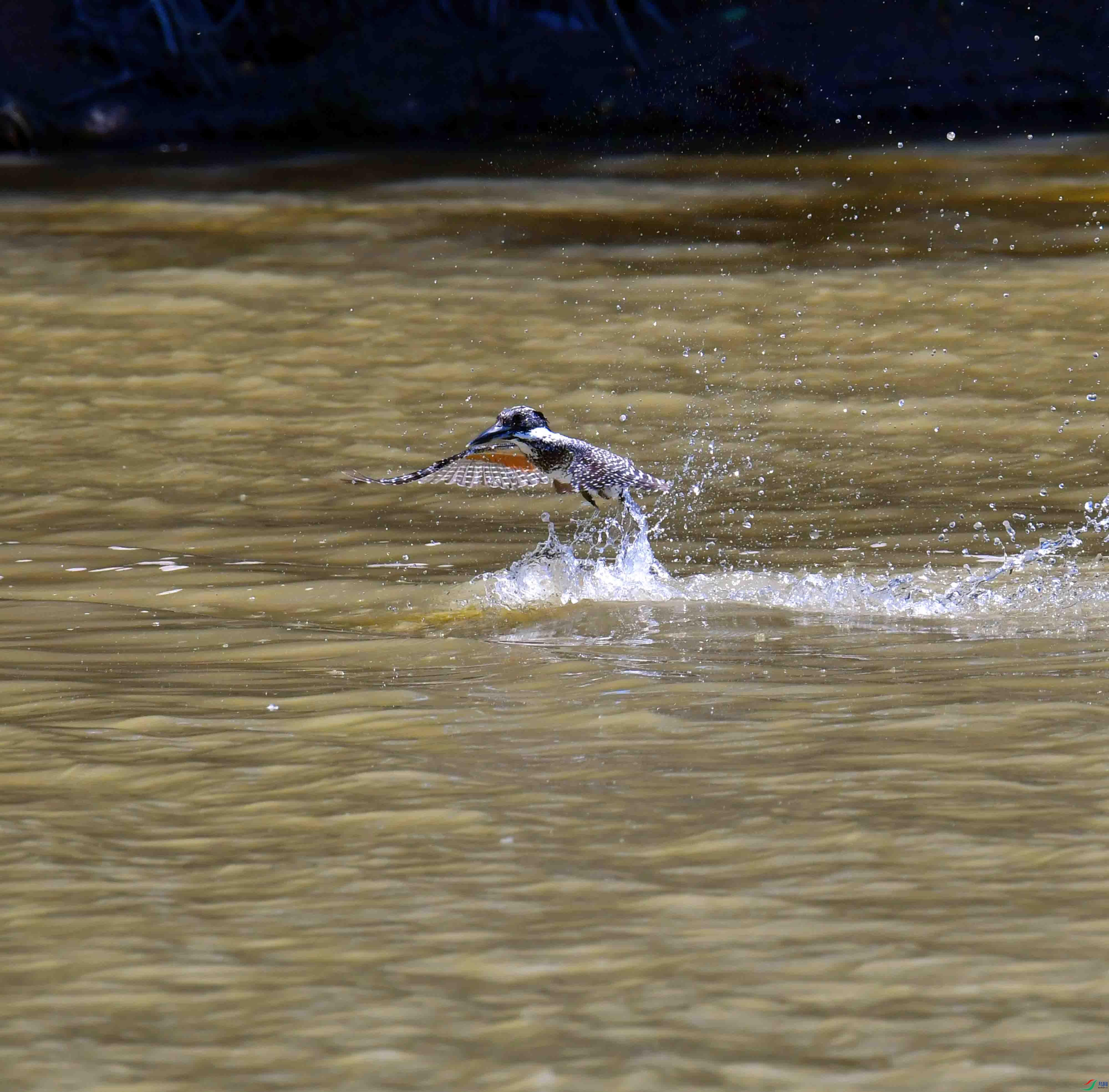DSC_0850.JPG