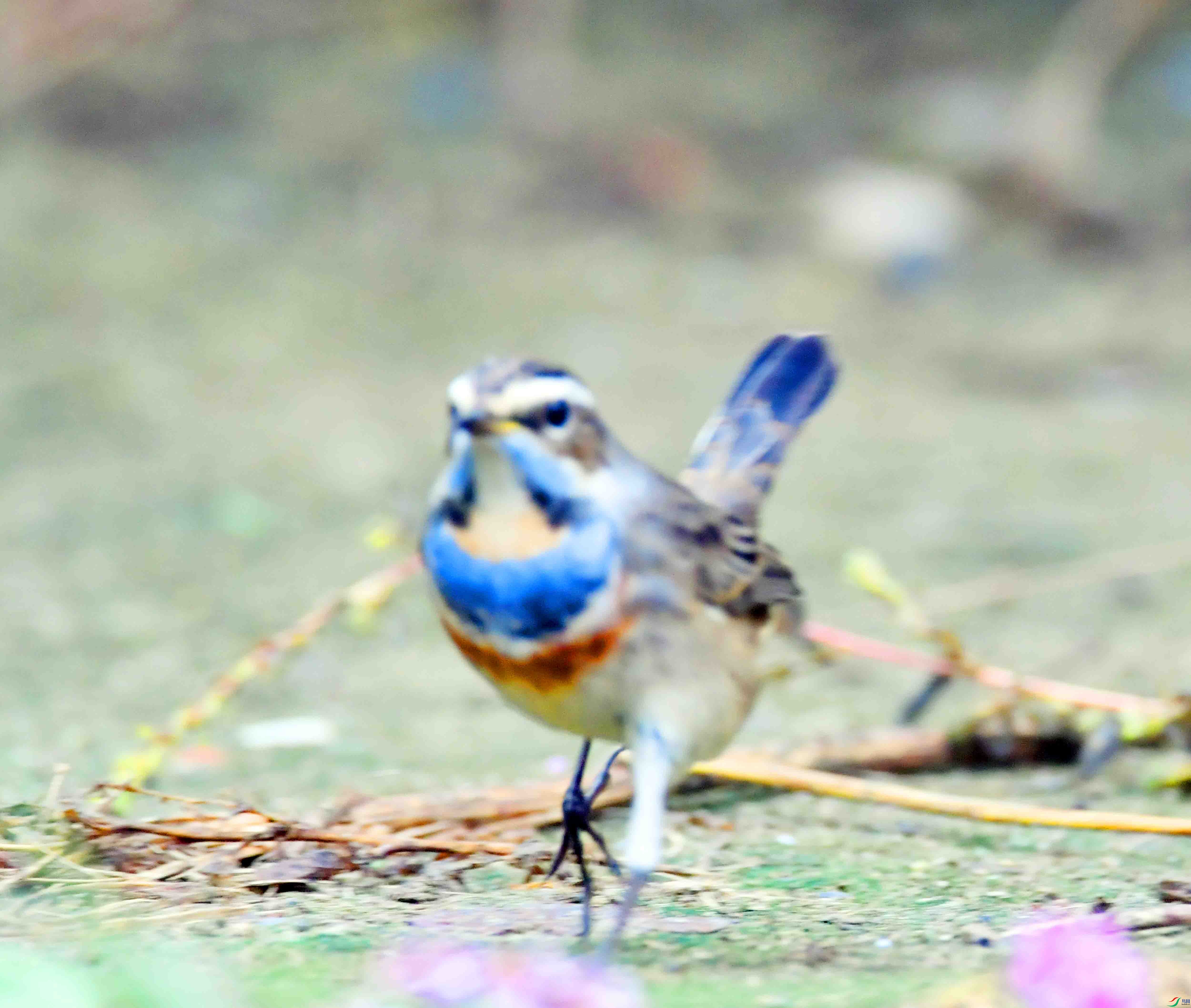 DSC_3432.JPG