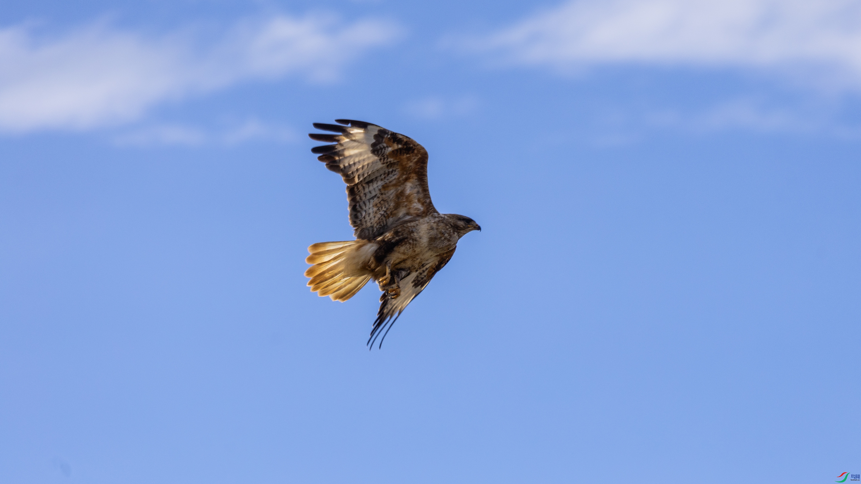 7X5A4540 ����444.jpg