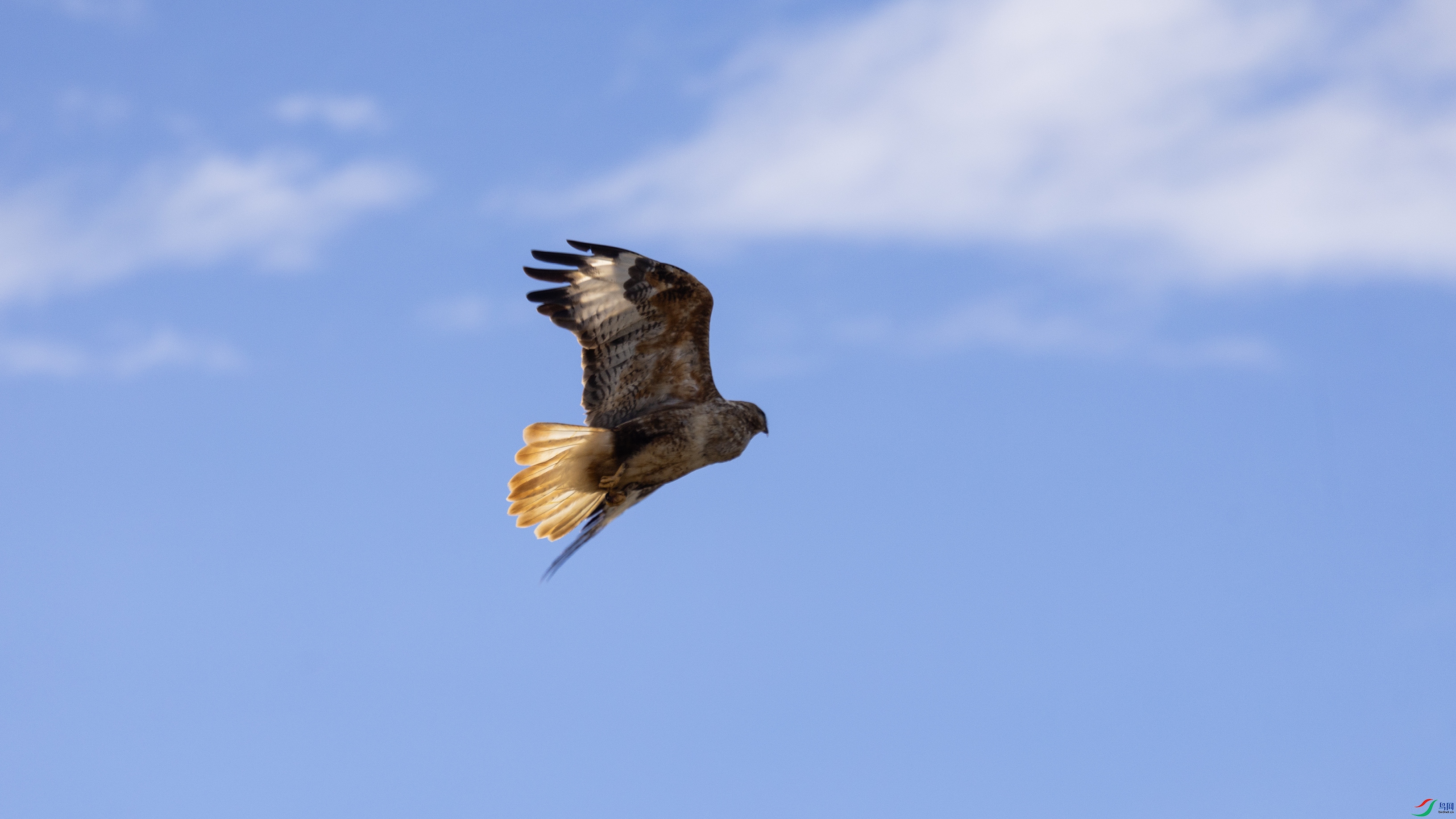 7X5A4552 ����.jpg